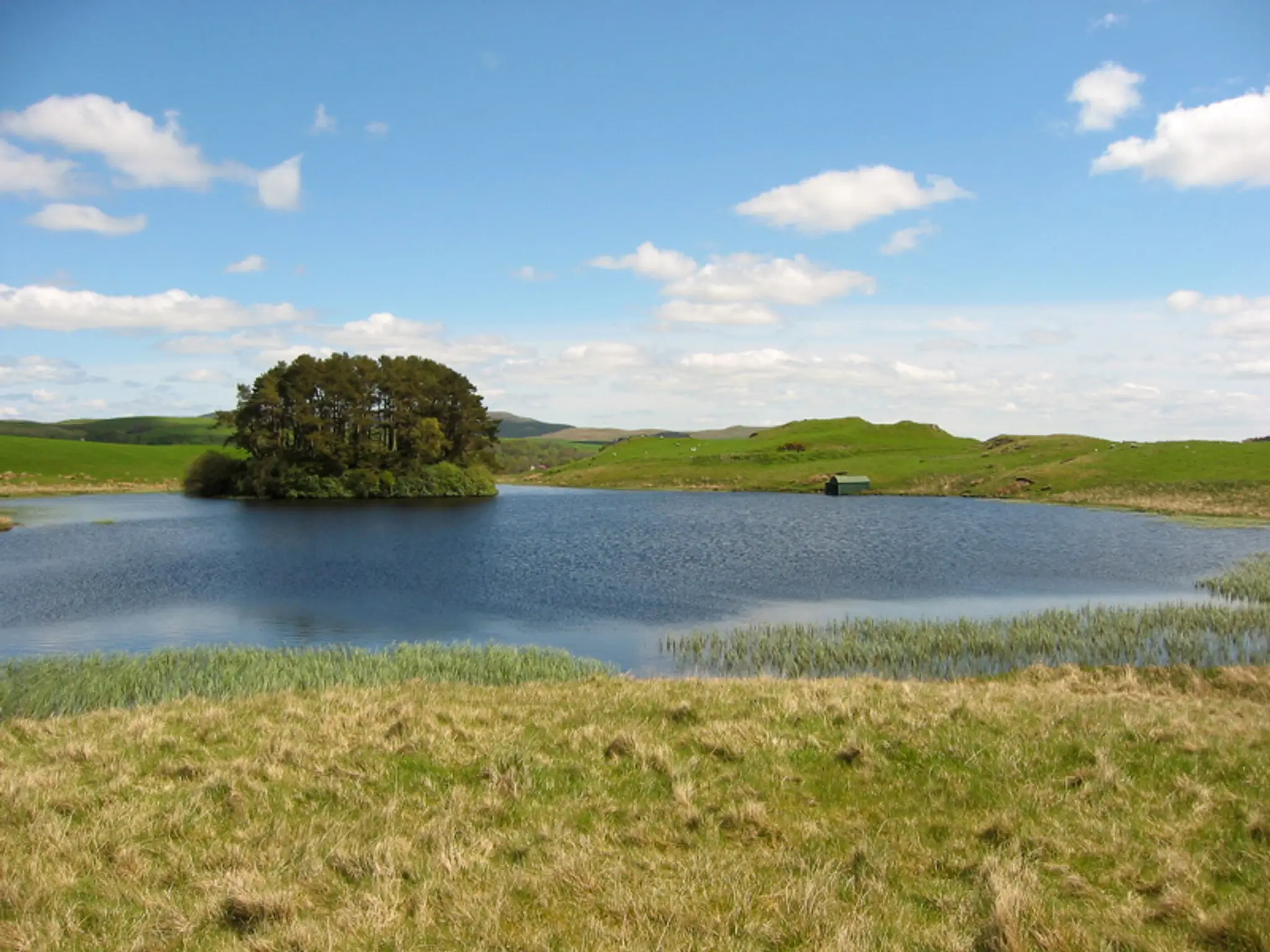 Mossroddich Trout Loch
