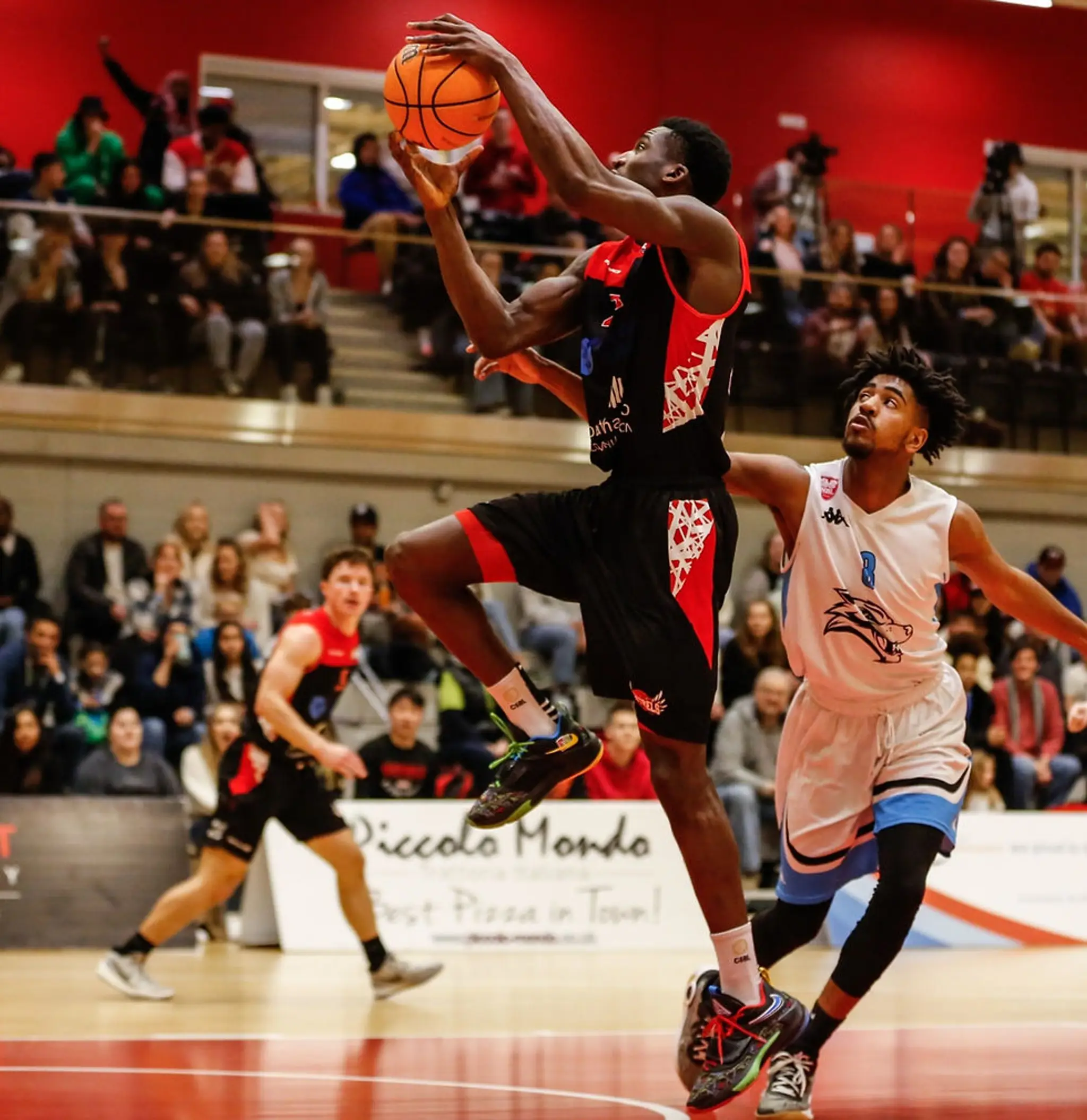 Team Solent Kestrels