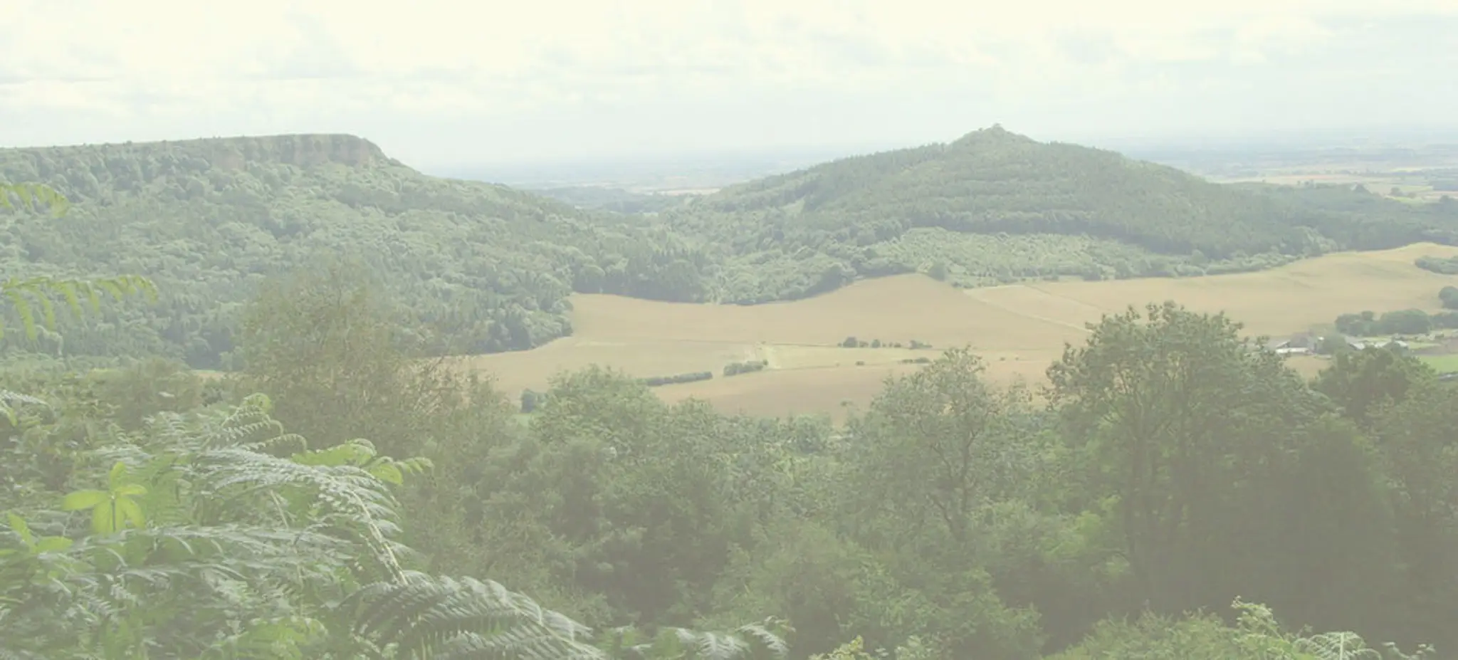 Acti:Fit Personal Training