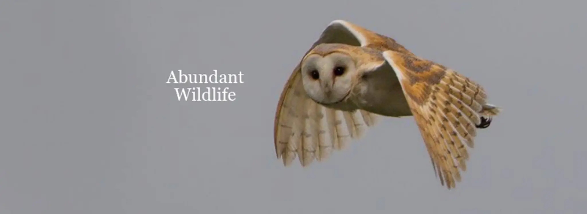 Lakeside Naturist Holiday Resort