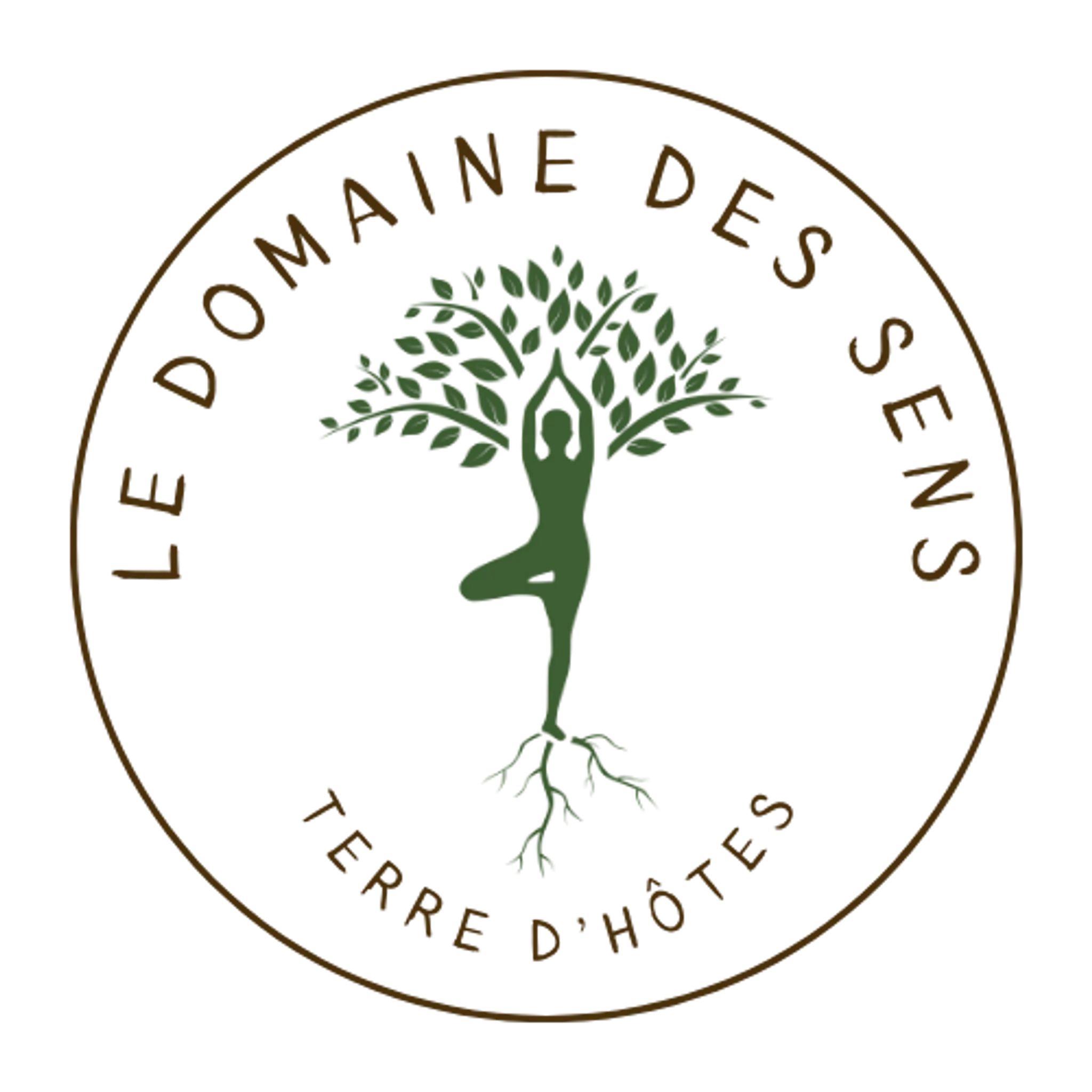 Area Des Sens