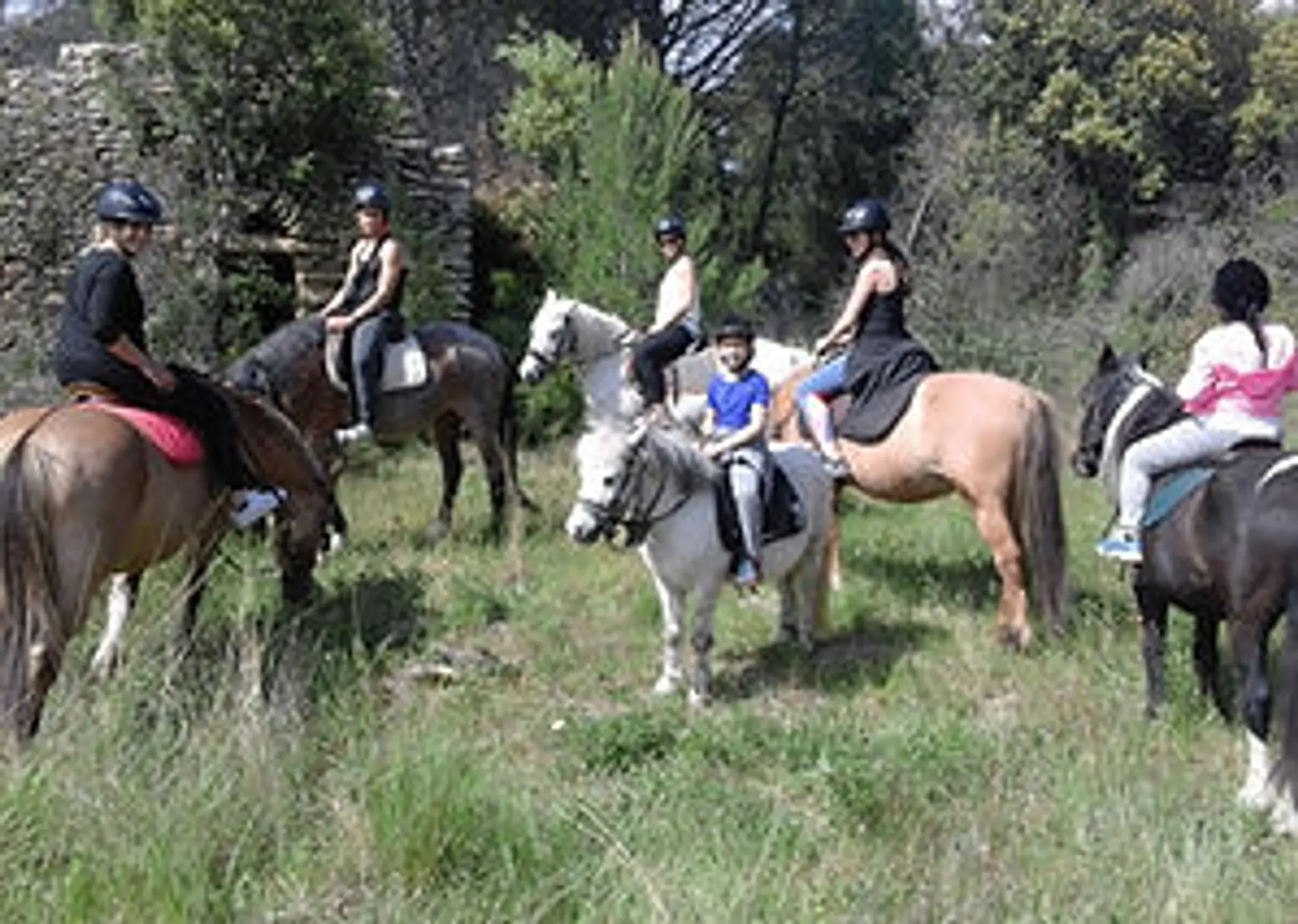 Cheval d'Ehwaz