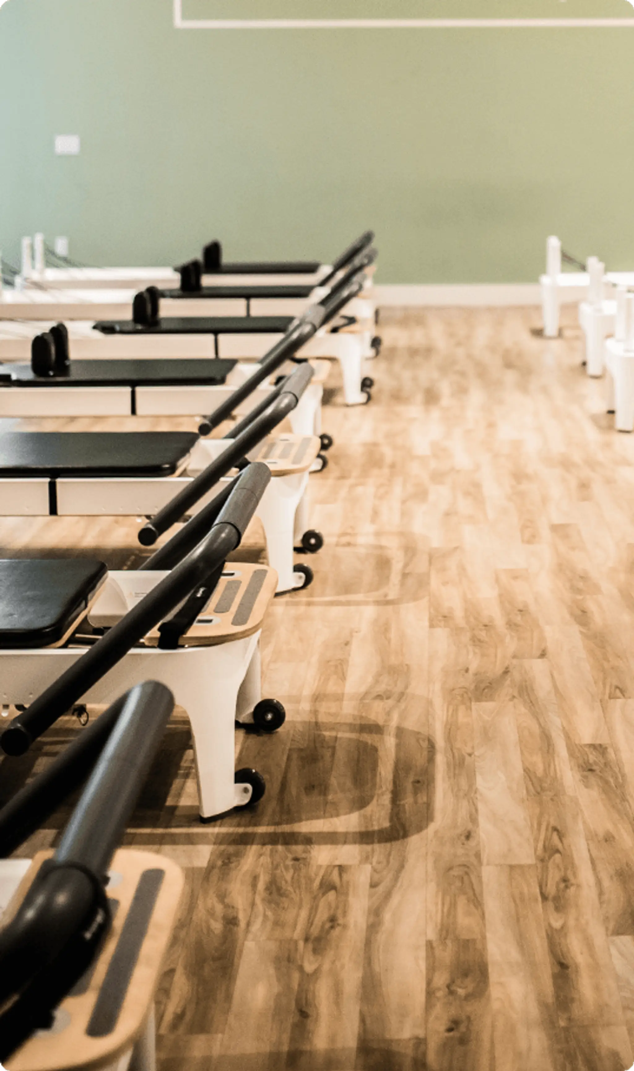 Movement 101 Physio Chatswood