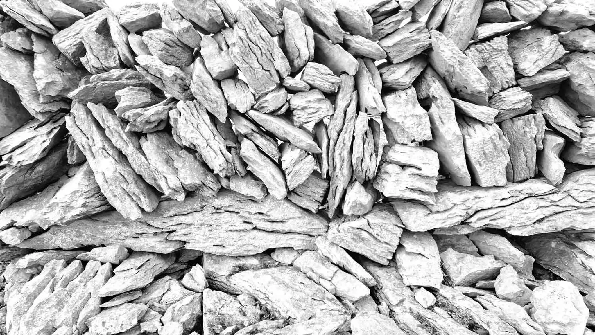 Chen Tai Chi Ireland