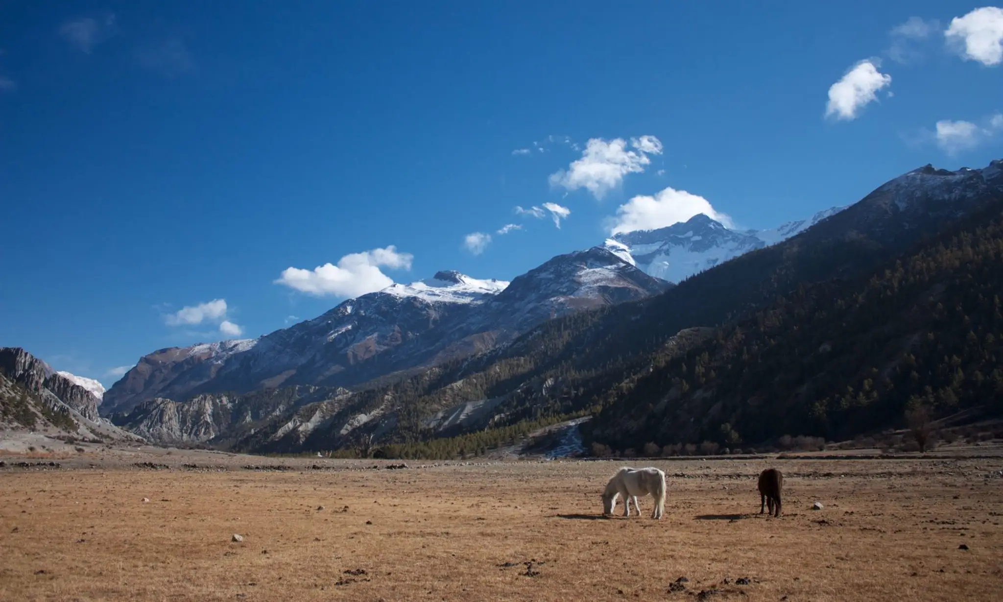 Stillness in Motion Yoga