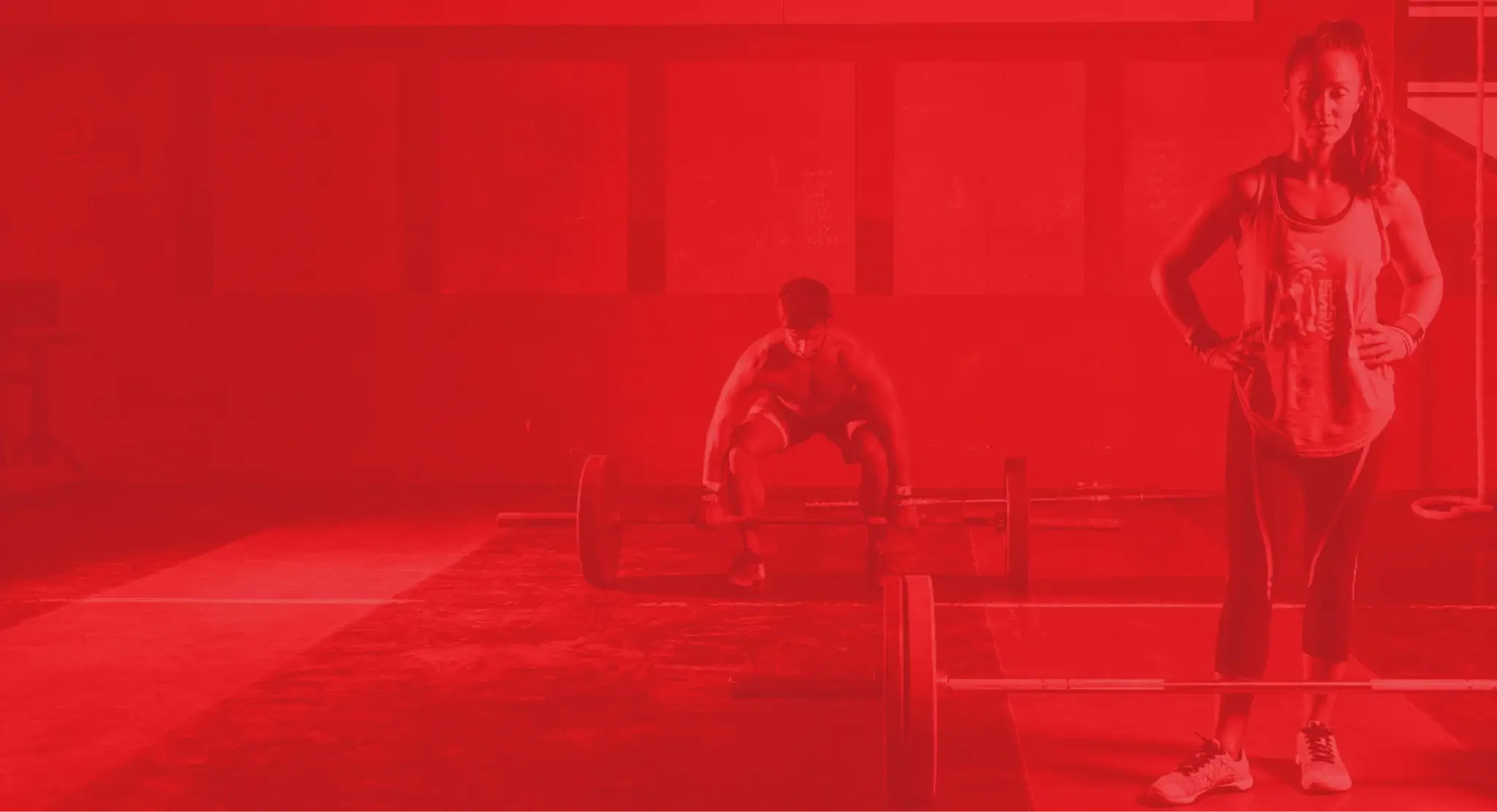 ACE PERFORMANCE MOUNT WAVERLEY