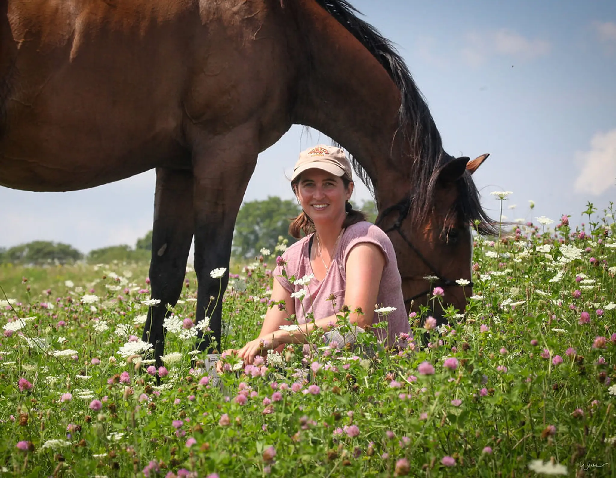 Heather Pankhurst Equine First Aid