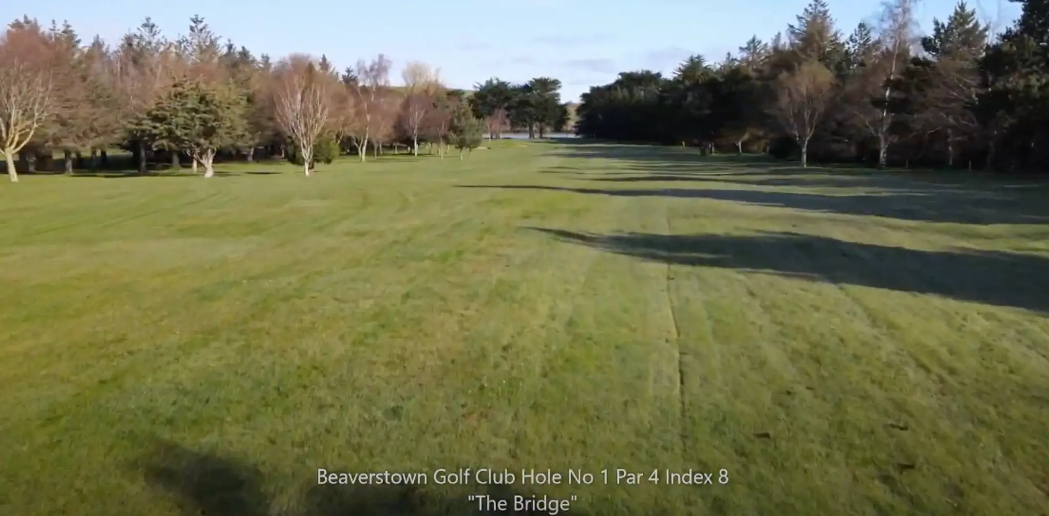 Beaverstown Golf Club