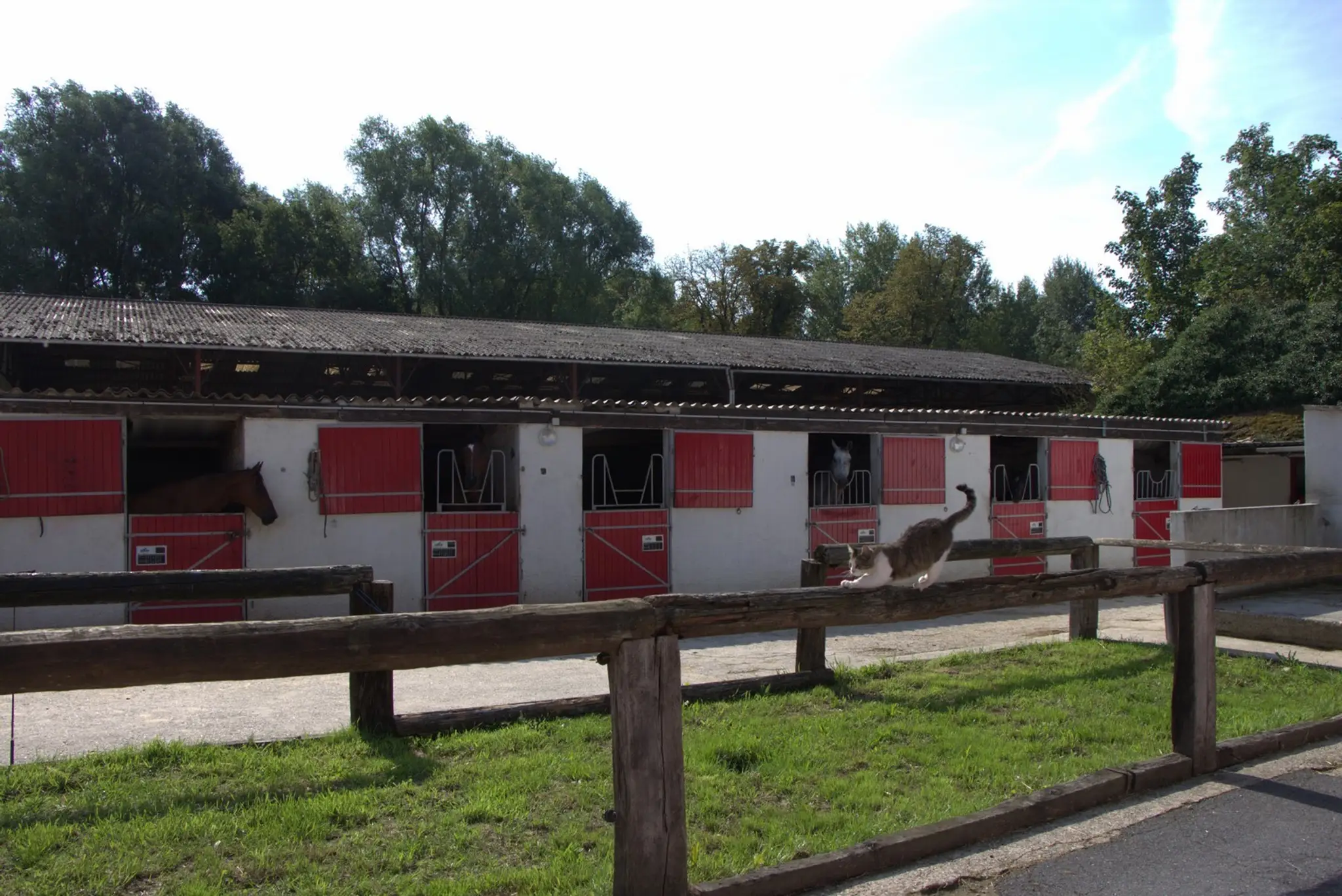 Les Écuries Du Val Fleuri