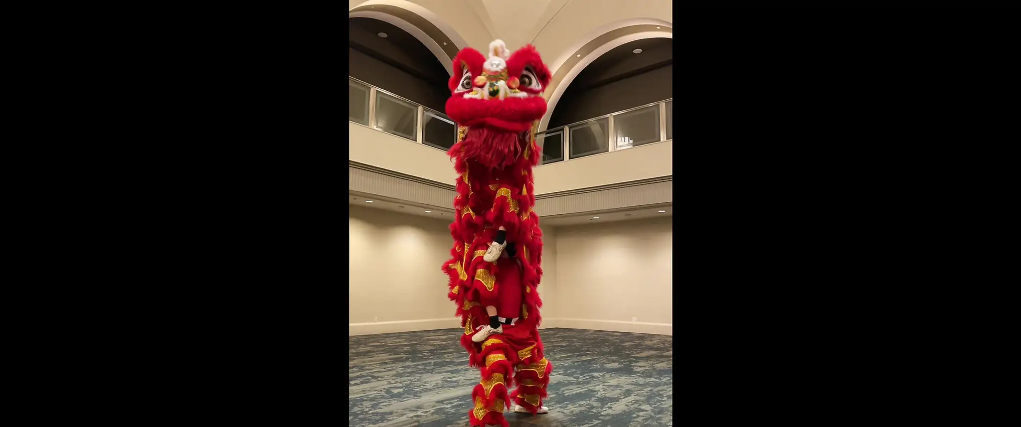 Toronto - Lat Yip Dragon Lion Dance Team -