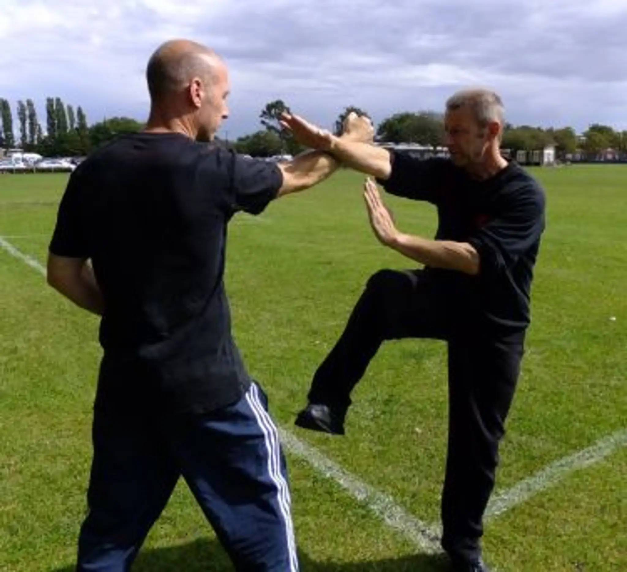 European Traditional Wing Chun Kung Fu Association