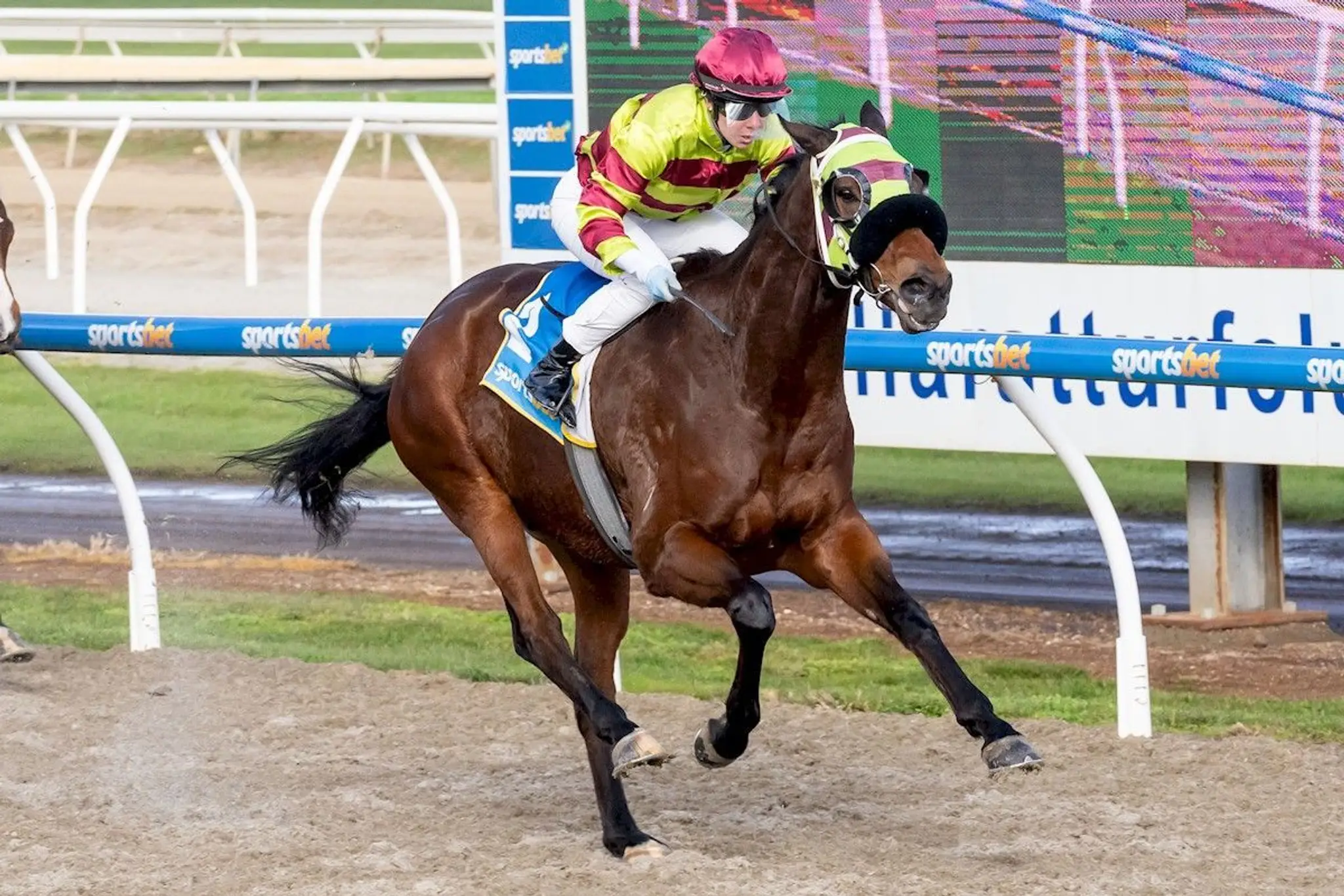 Wayne Nichols Racing