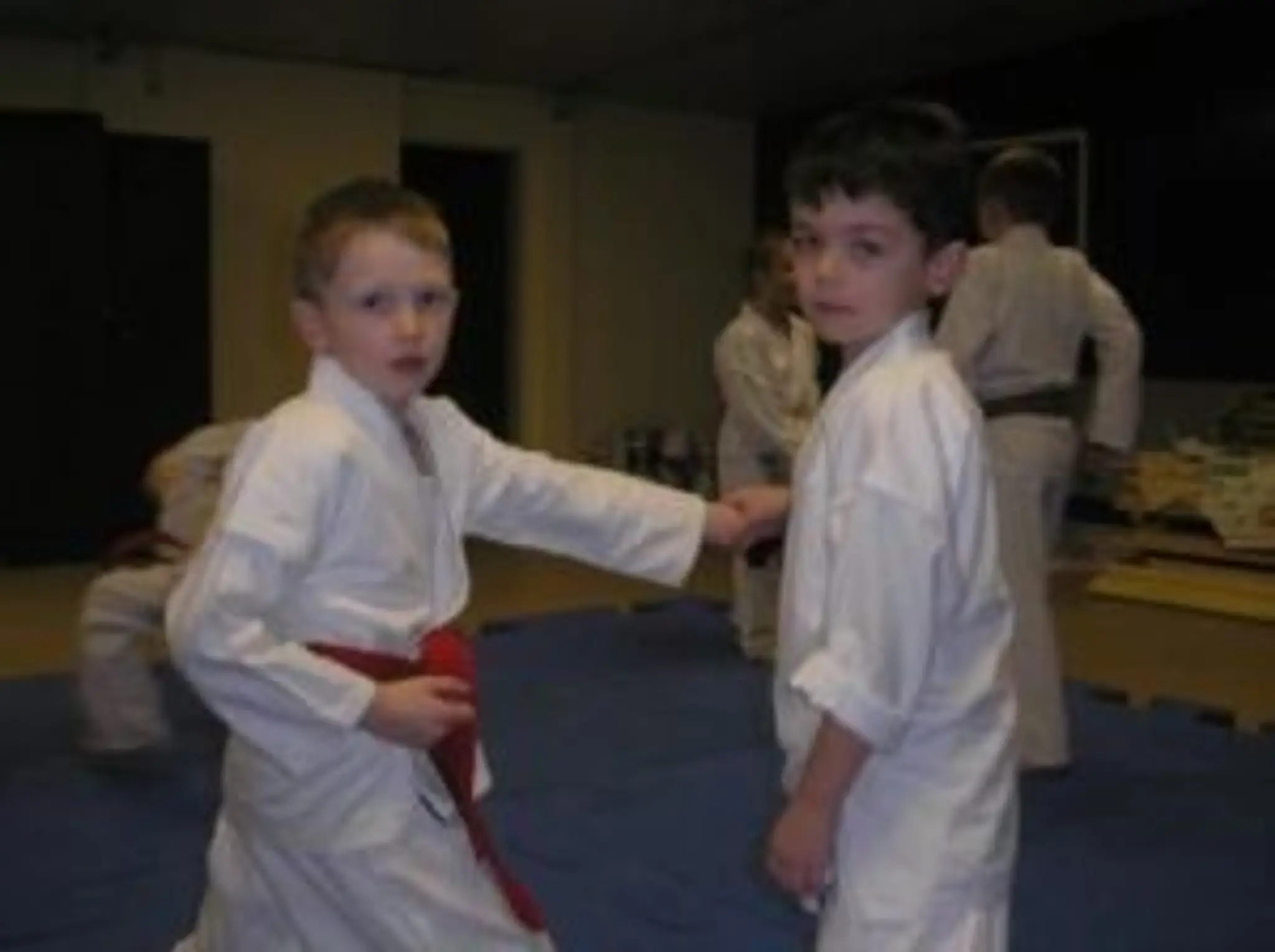 Red Dragon Karate Club