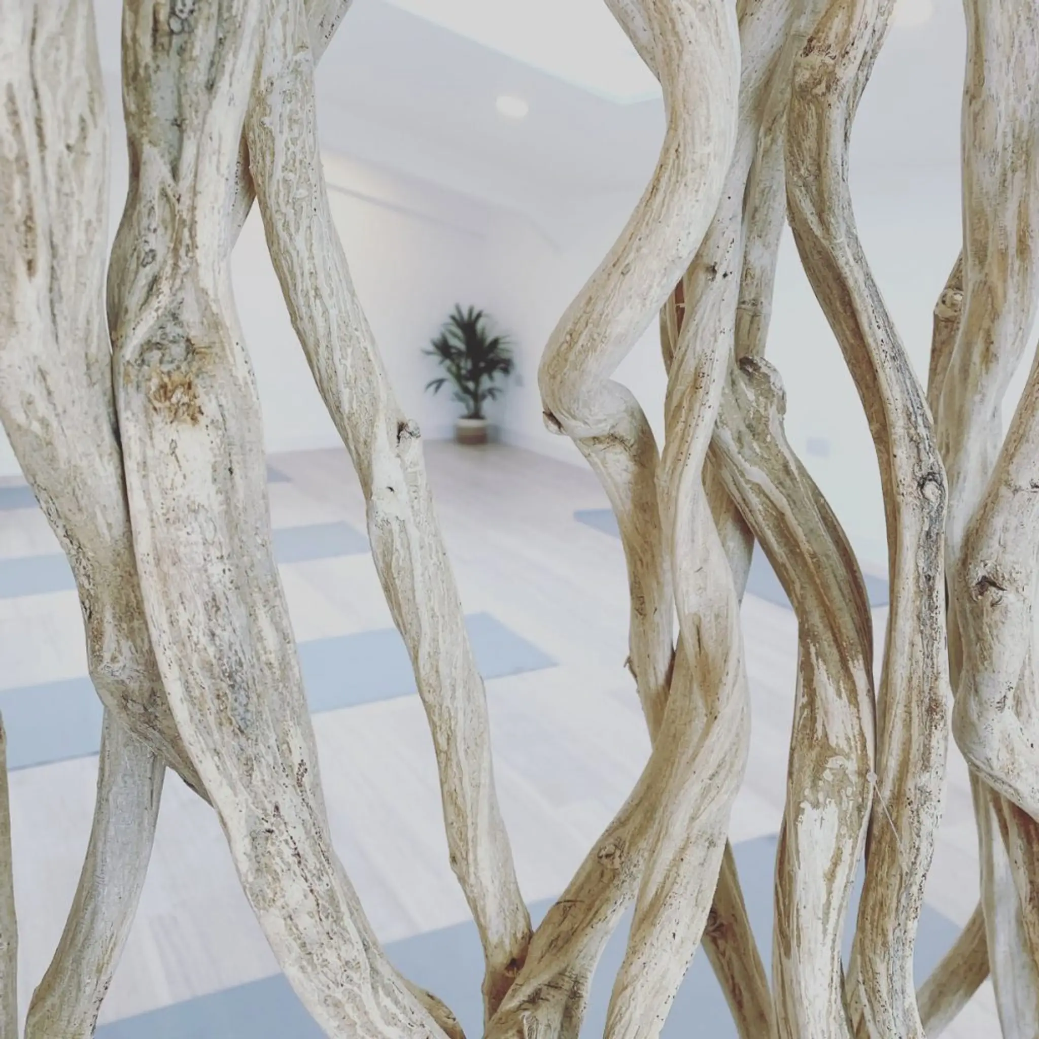 The Yoga Collaboration