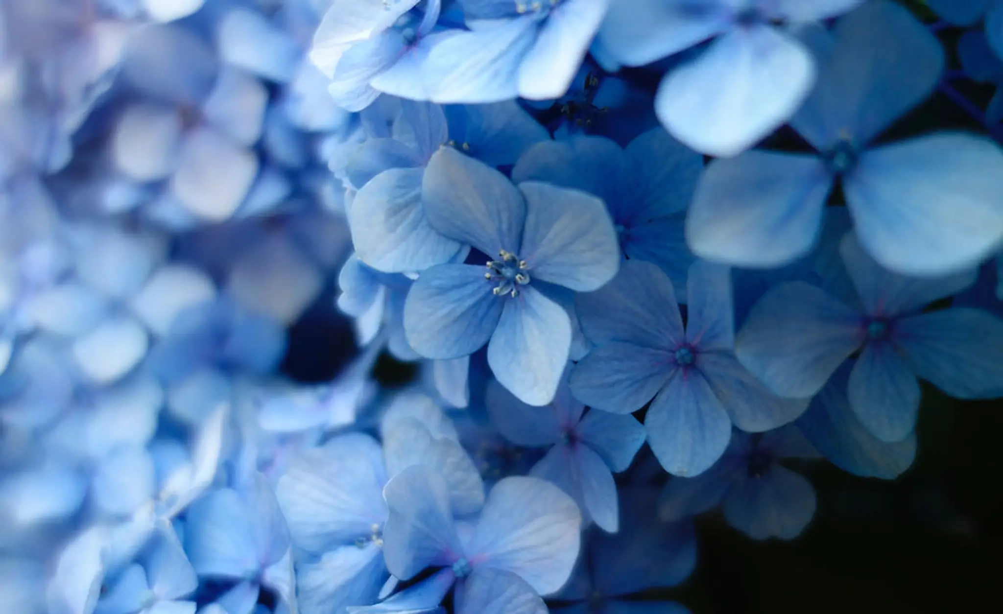 Mi-Cher Dance Academy