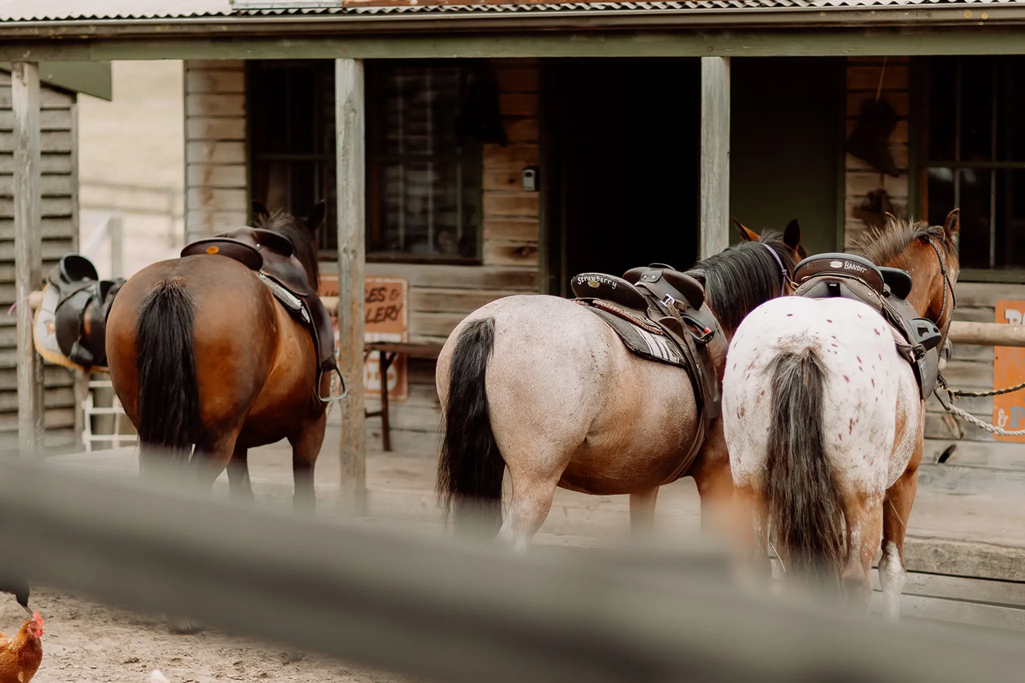 The Ranch Mornington Peninsula