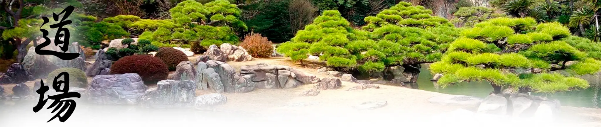 Dojo Historical Valence