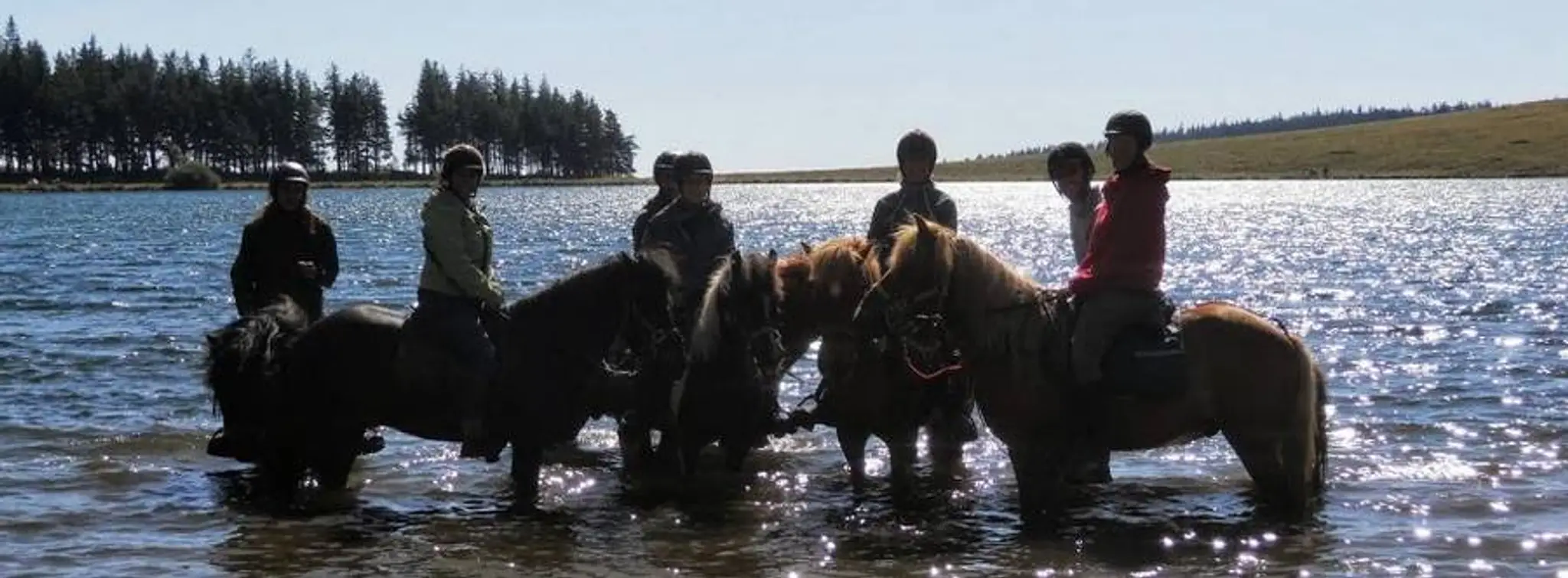 Les Islandais De La Rodde