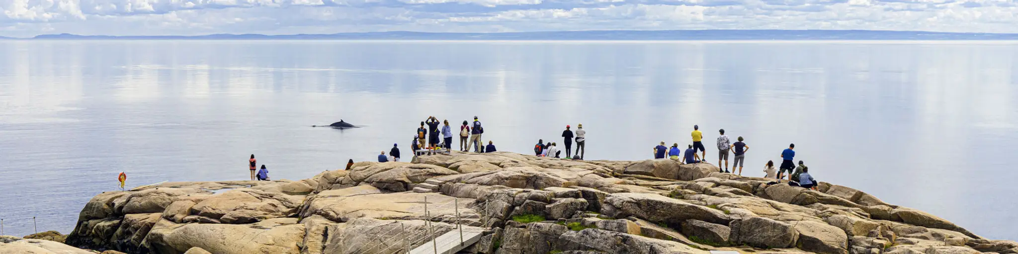 Marine Environment Discovery Centre