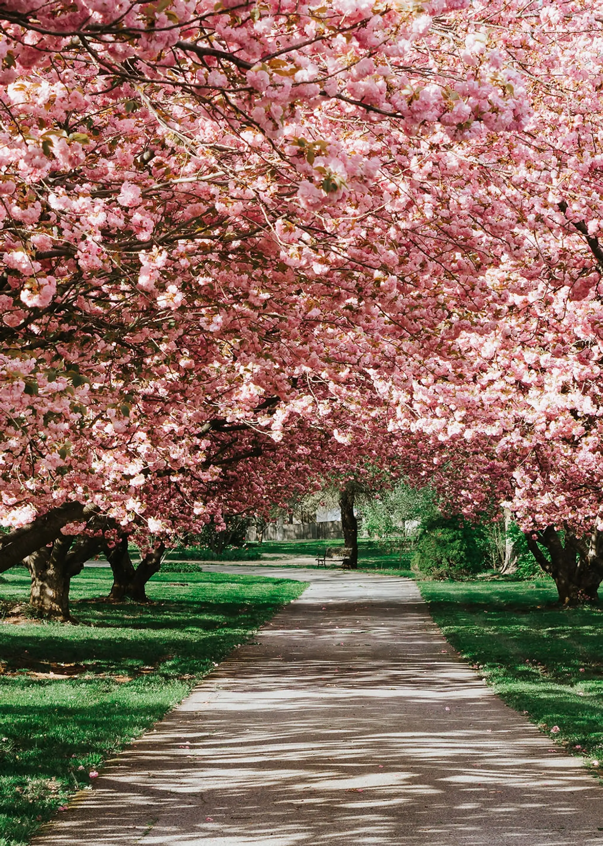 The Studio at King George's Field Fulmer