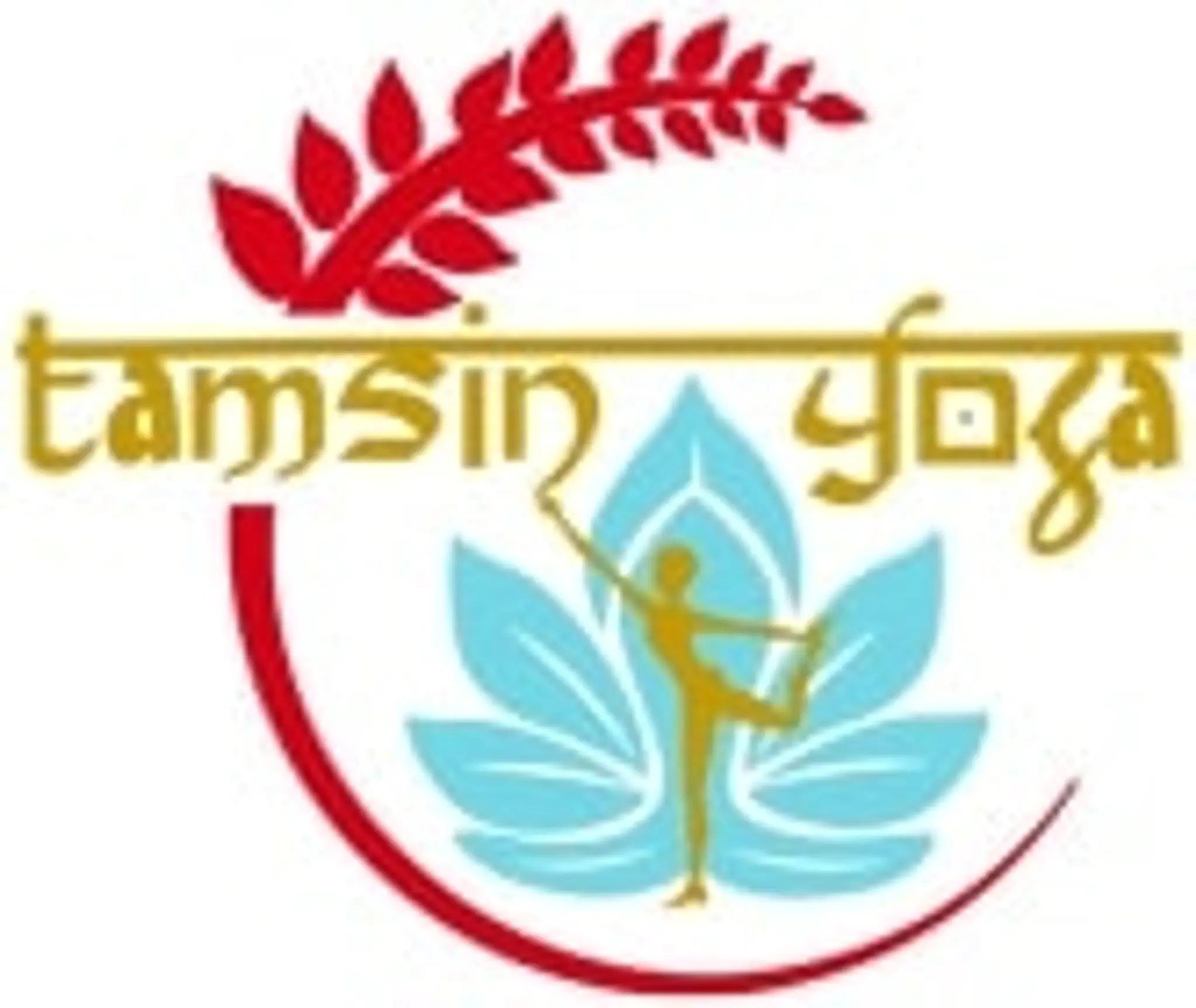 Tamsin Yoga - Yoga Classes York