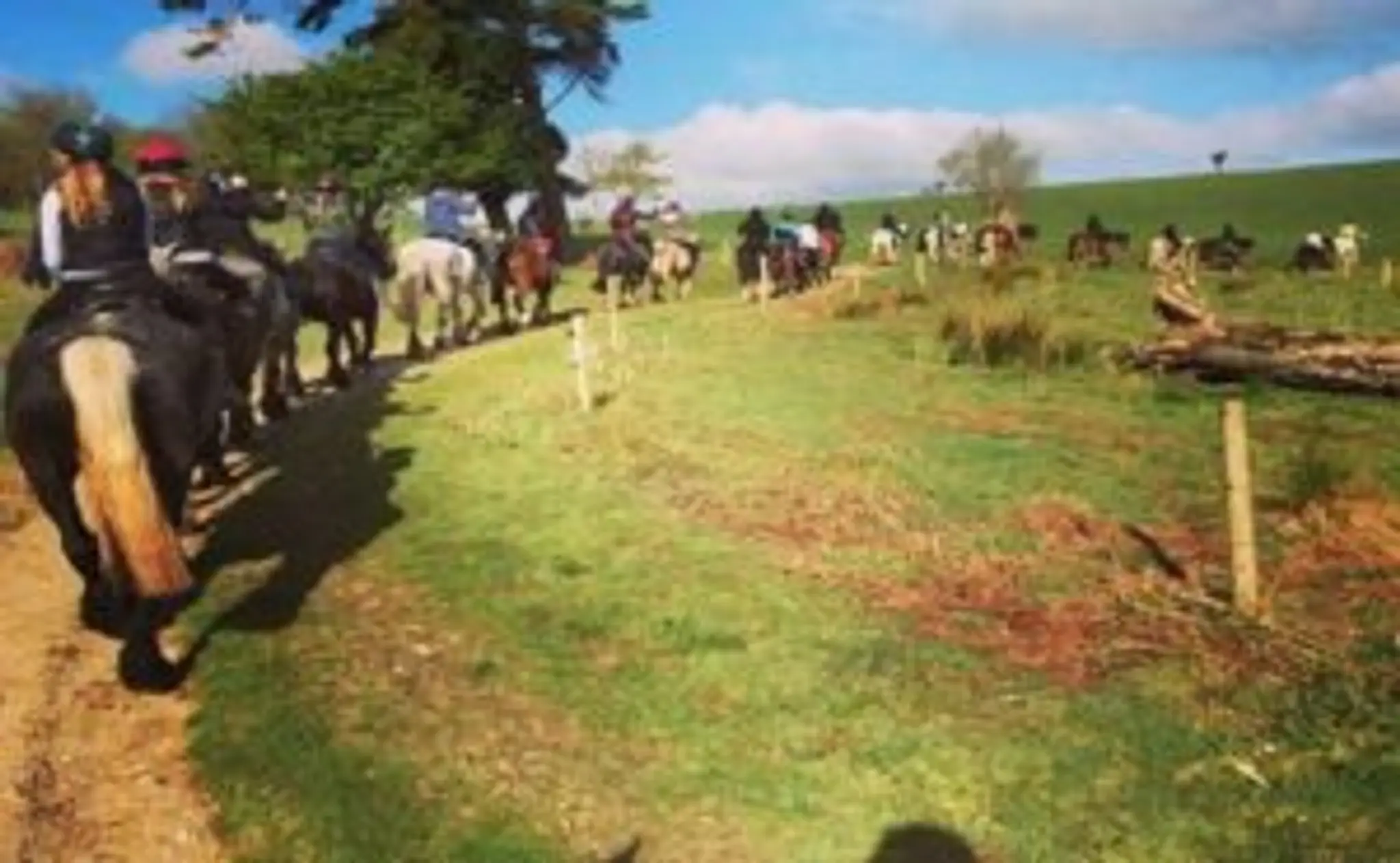 Killarney Riding Stables