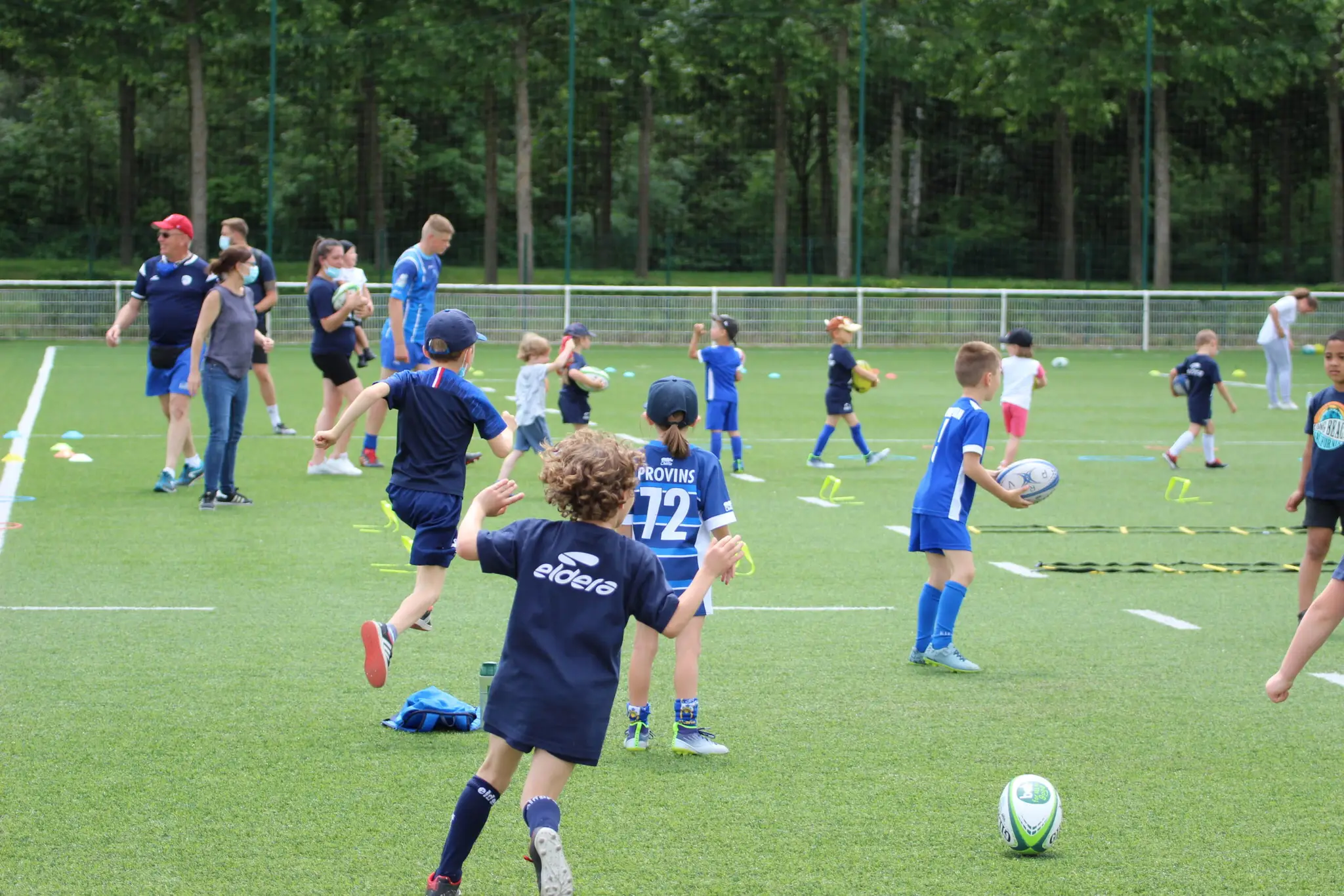 Rugby Provins