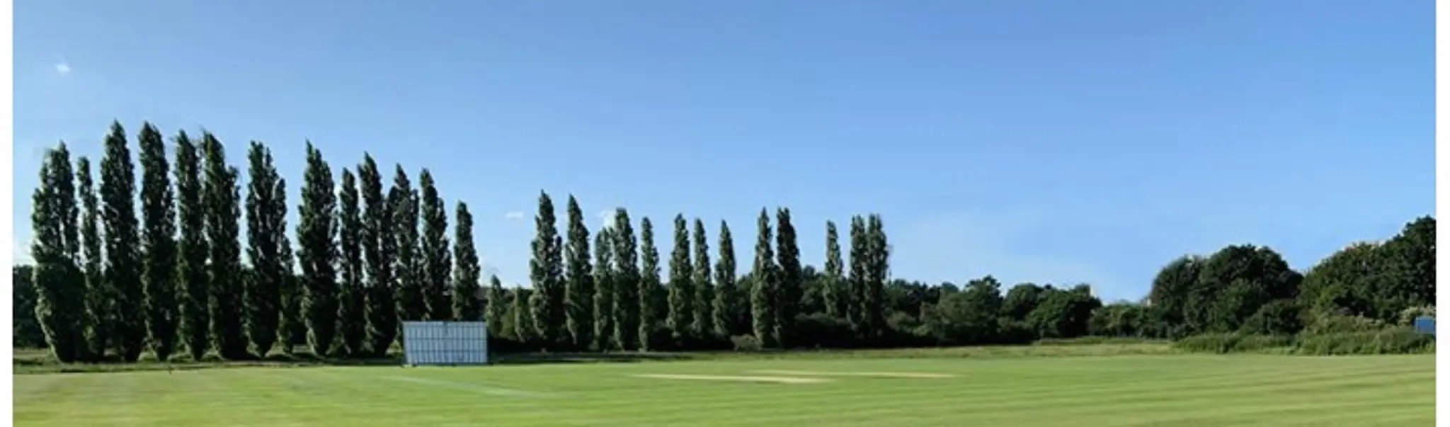 Bushey Cricket Club