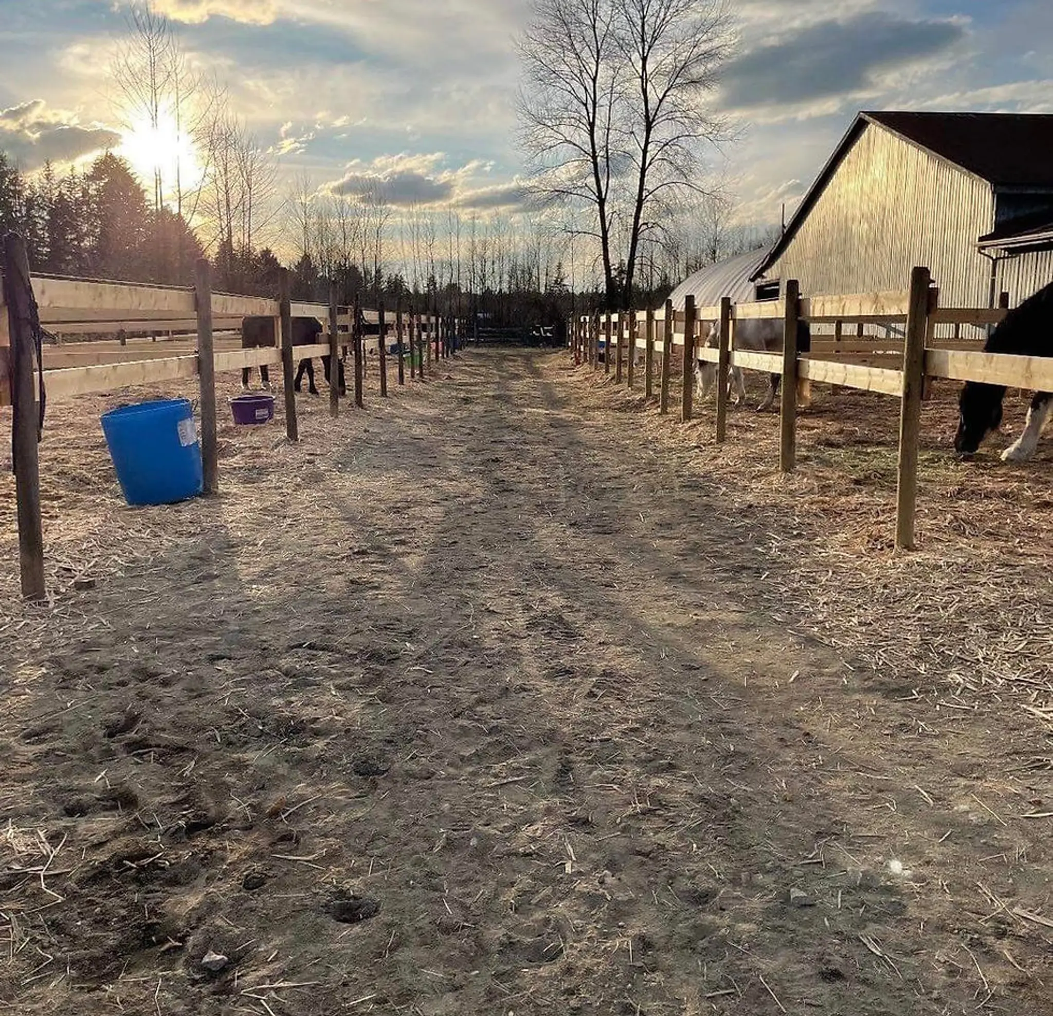 Coquitlam Equestrian Centre