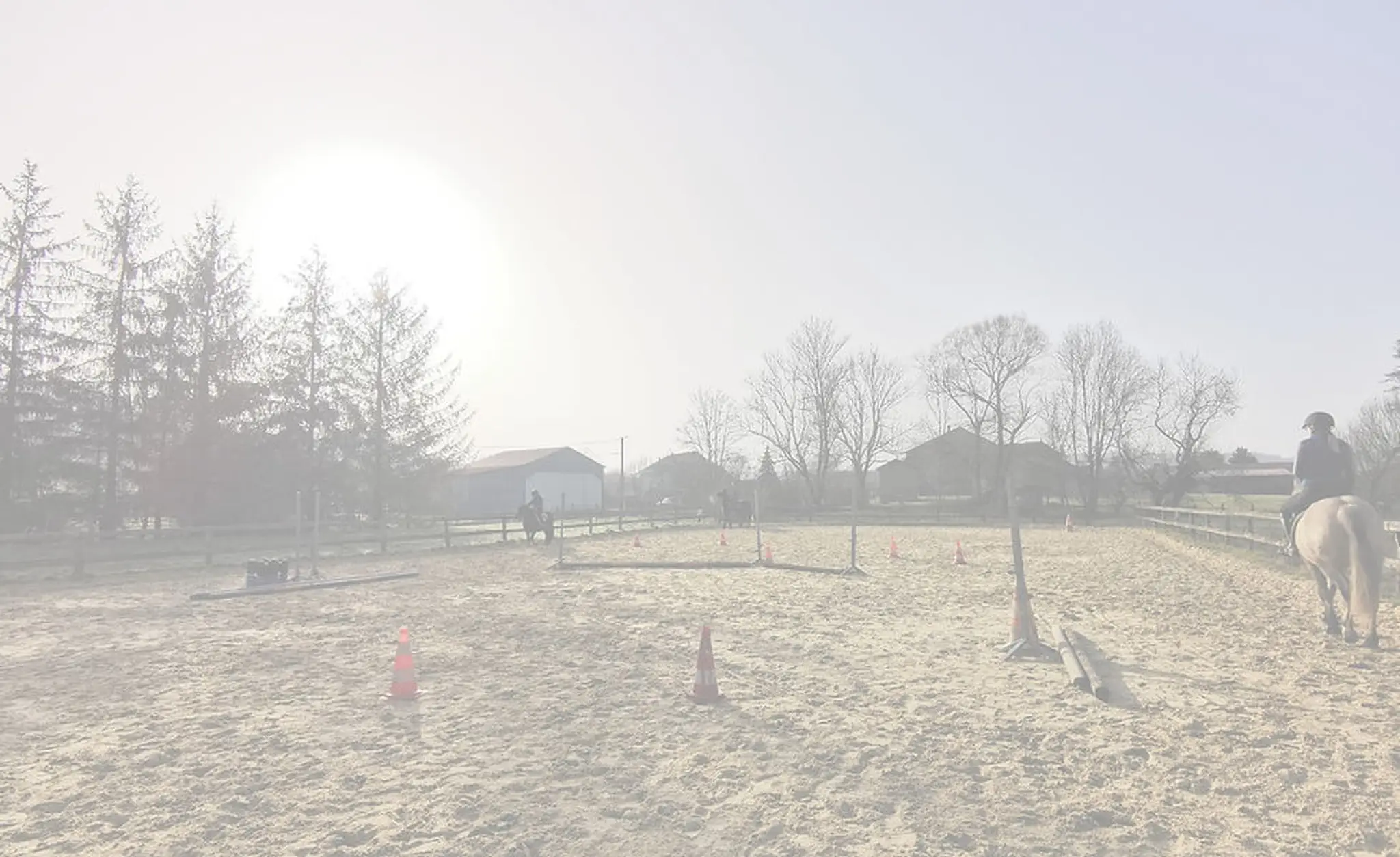 Co'Galop - Monitrice d'équitation indépendante