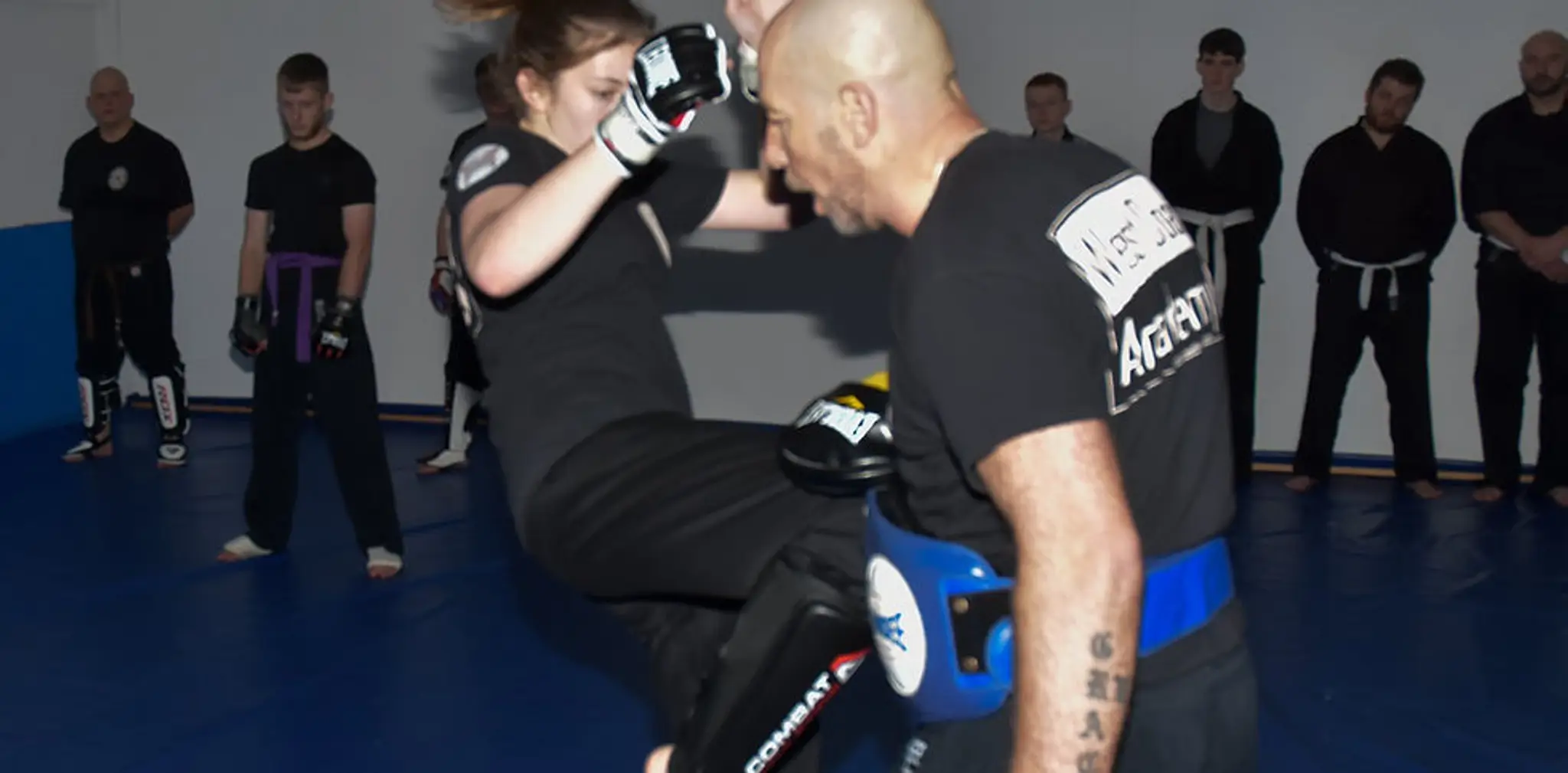 Fung Sau Combat System