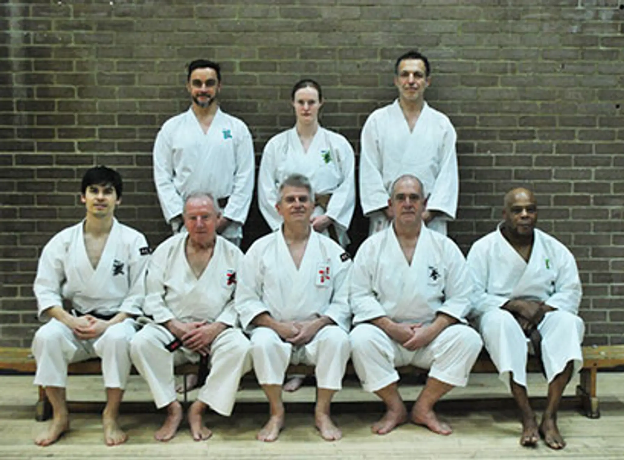 Chiswick Shorinji Kempo Dojo. Japanese Martial Arts. London.
