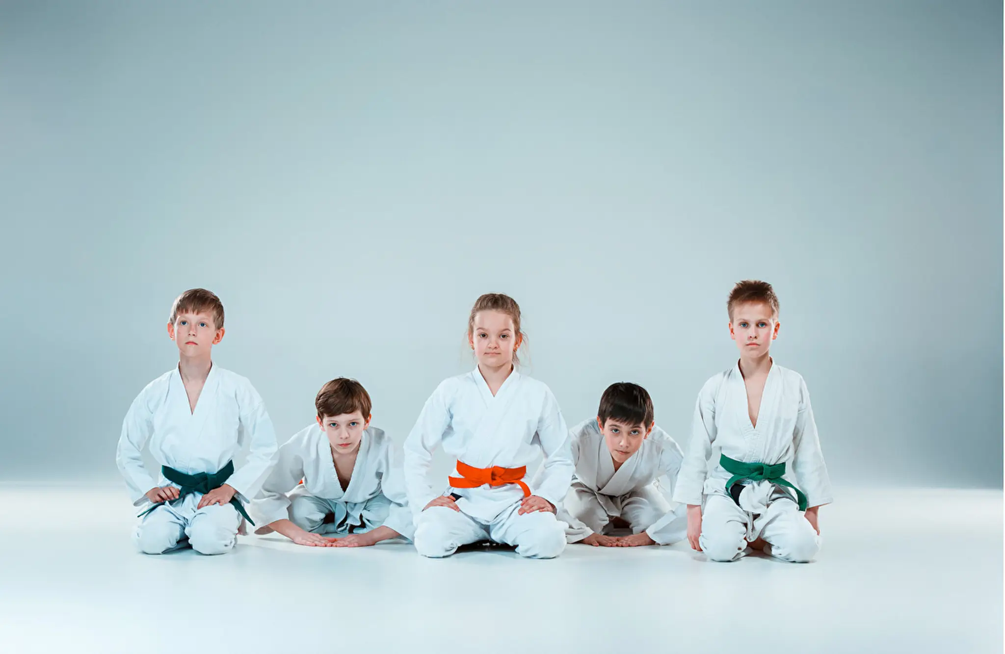 Dojo Jean Claude Rousseau