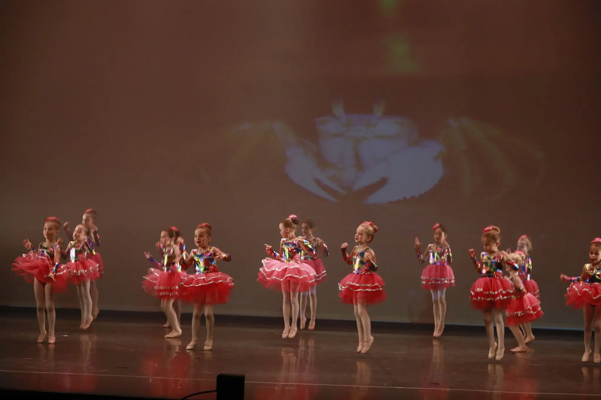 Centre de Danse Classique à Nevers