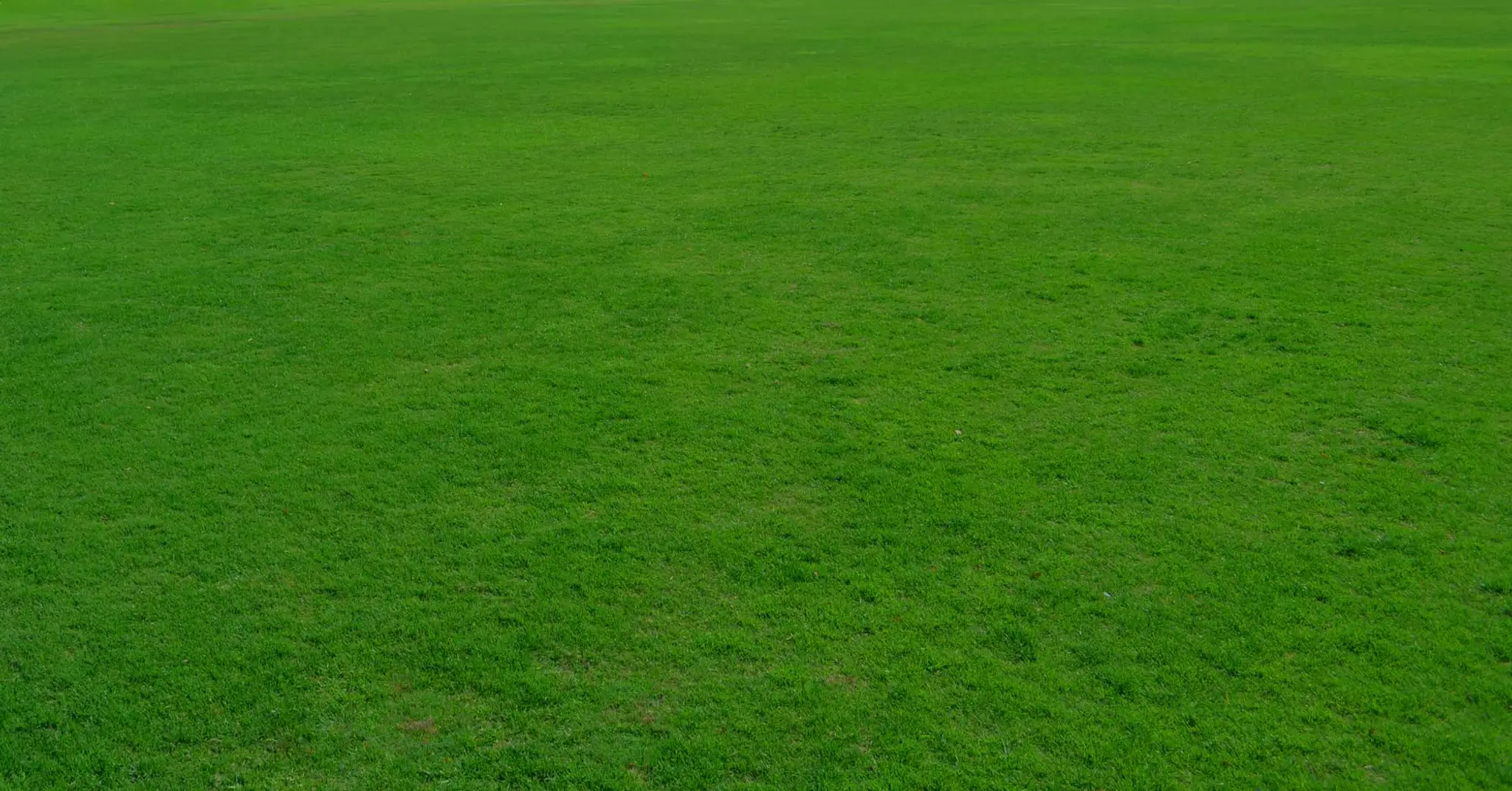 On The Green Physiotherapy & Pilates