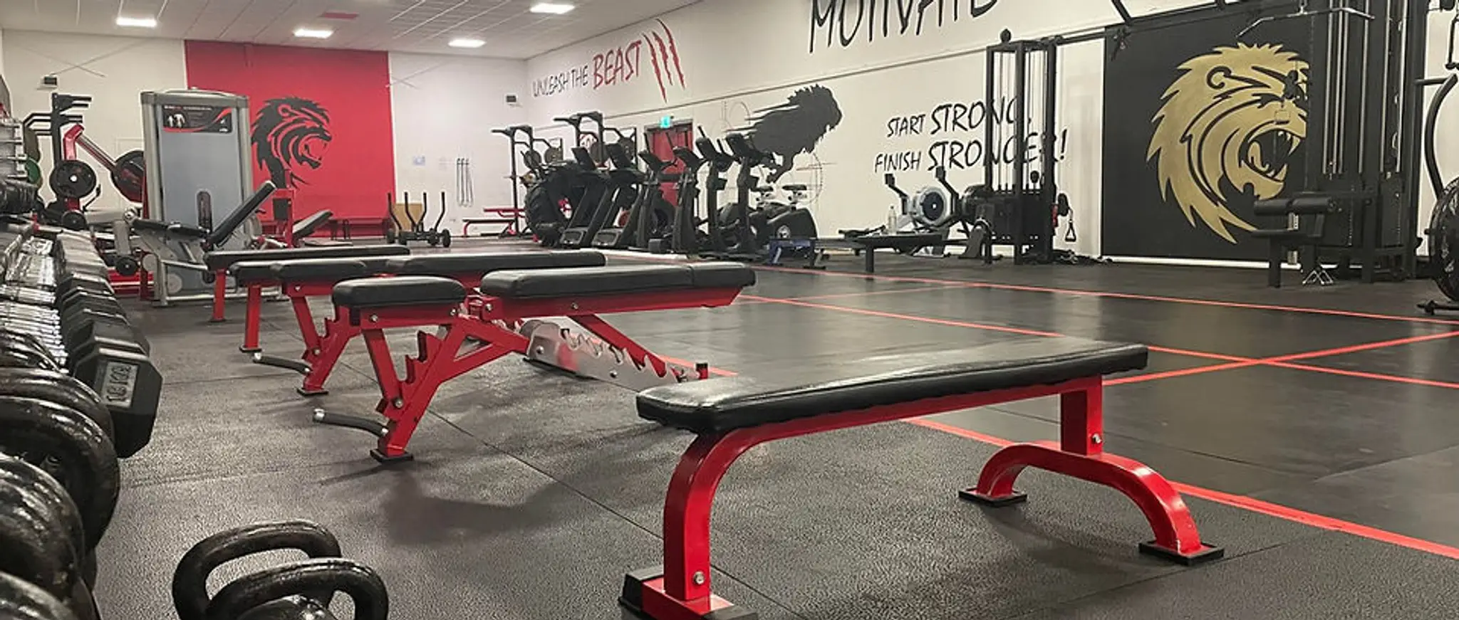 Roar Strength & Conditioning Gym & Fitness Club