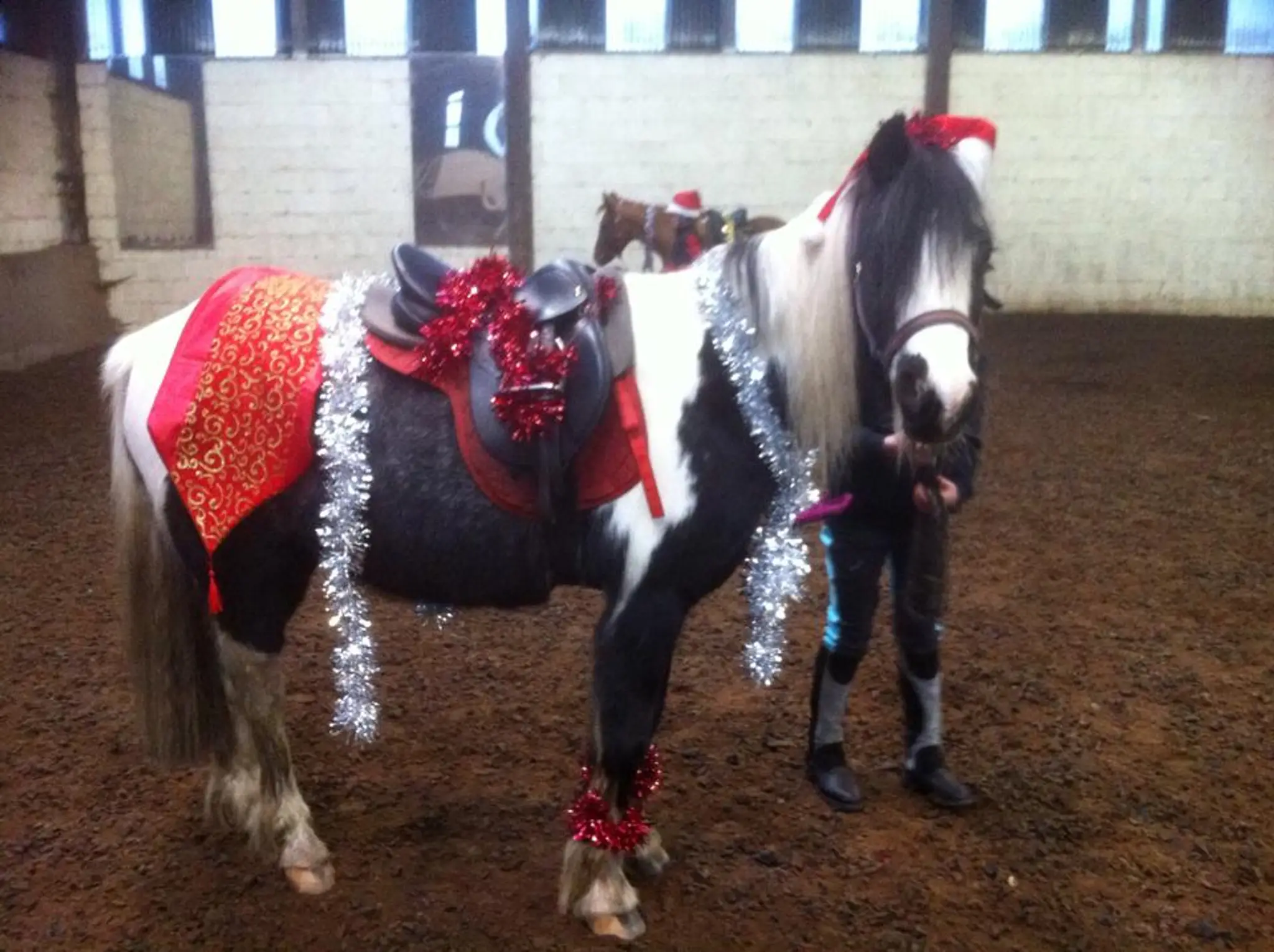 Snowdon Farm Riding School