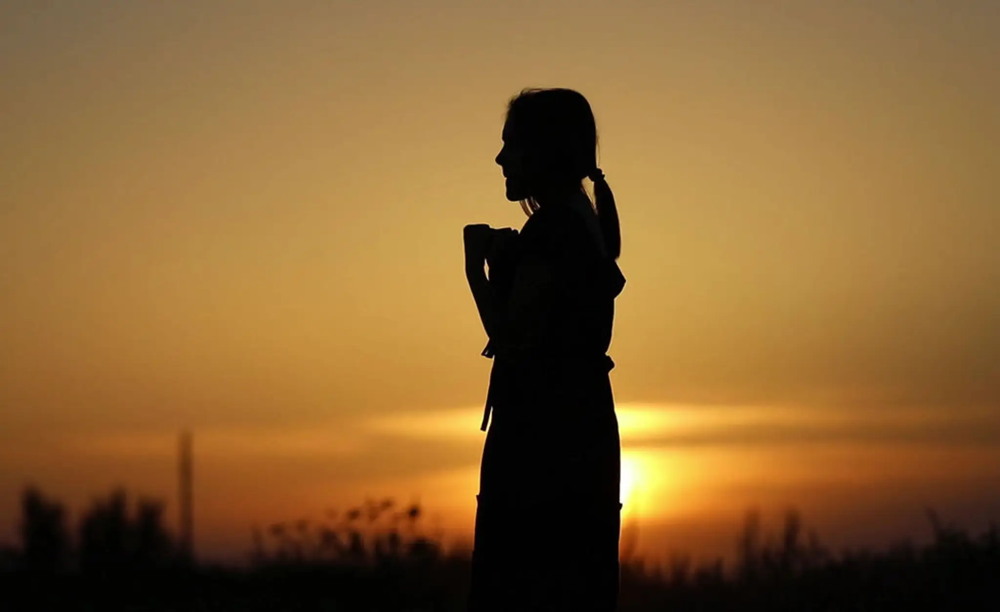 Adaptive Martial Arts