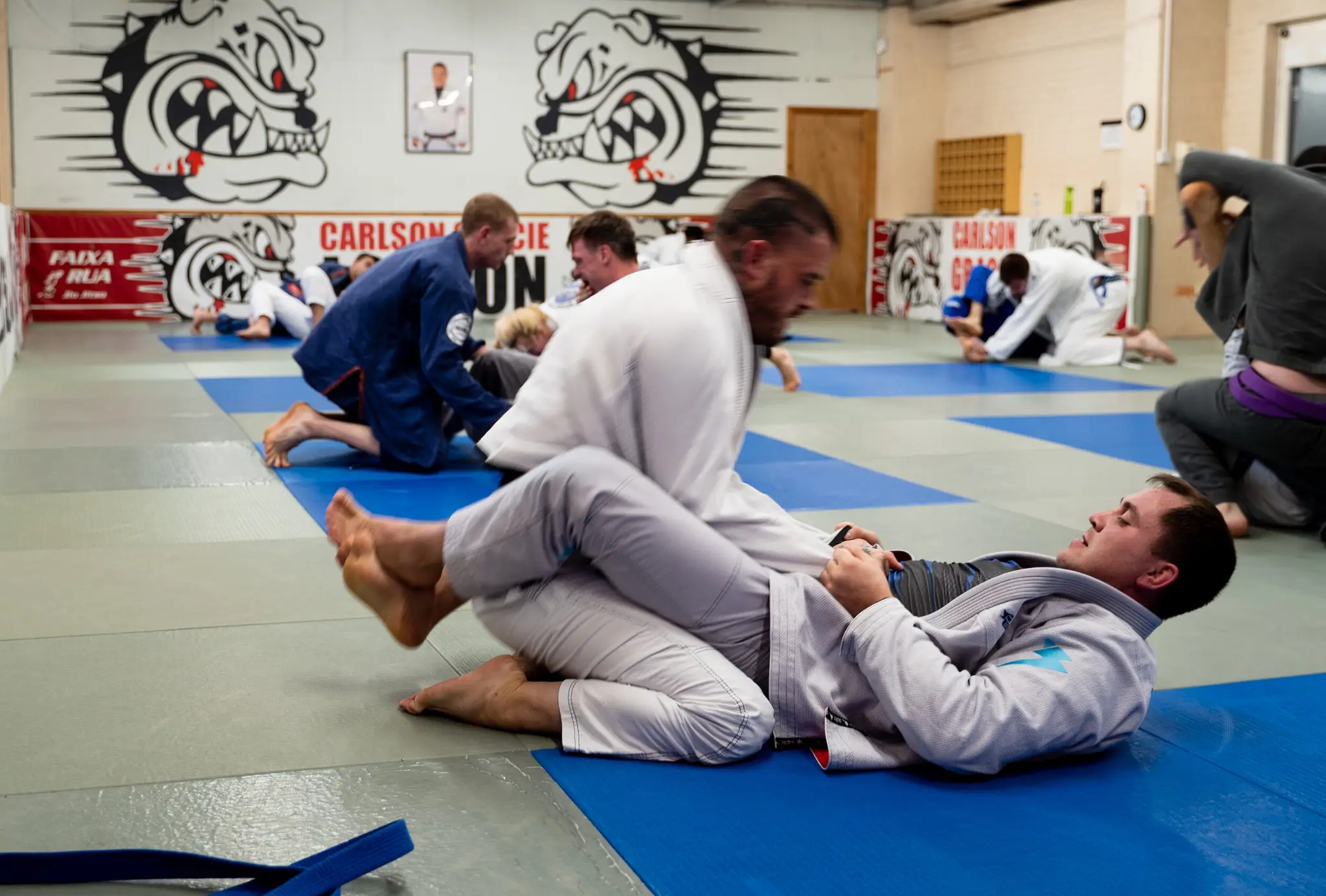 Carlson Gracie Jiu Jitsu Sheen
