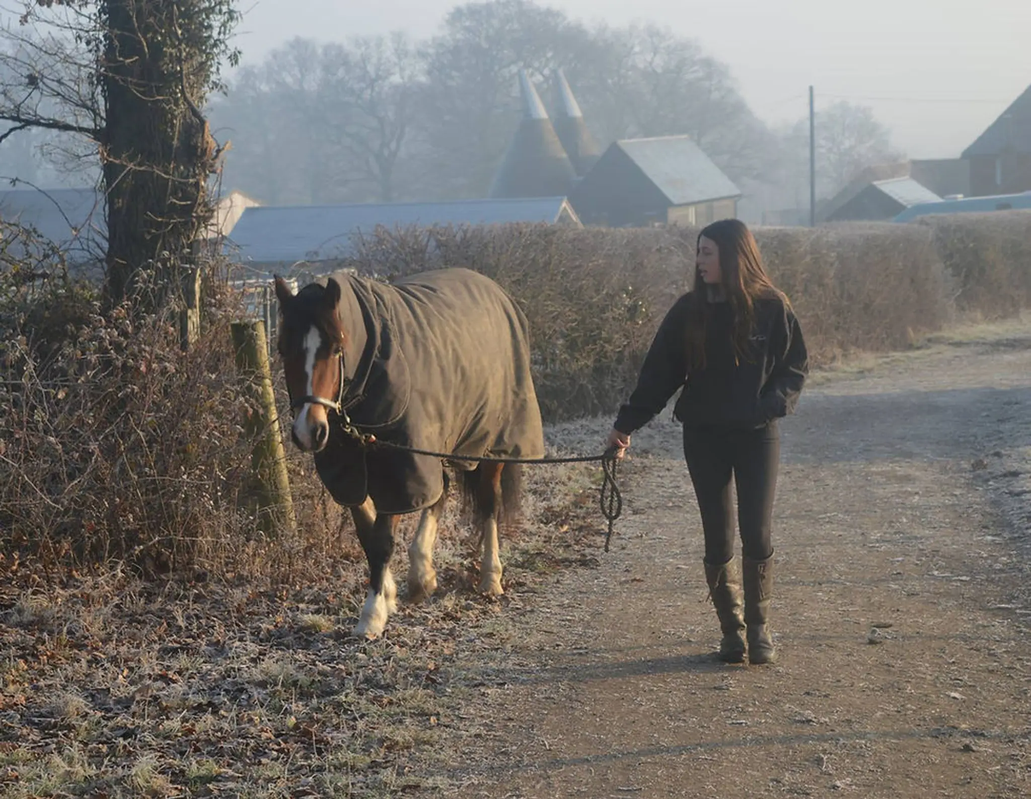 Little Dunks Livery Yard