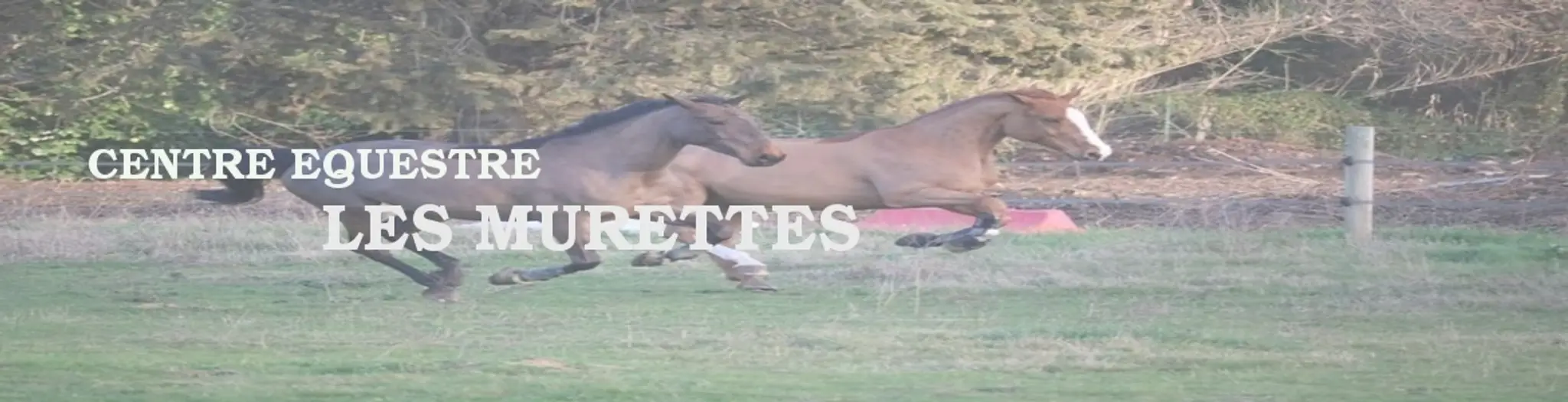Centre Equestre les MURETTES
