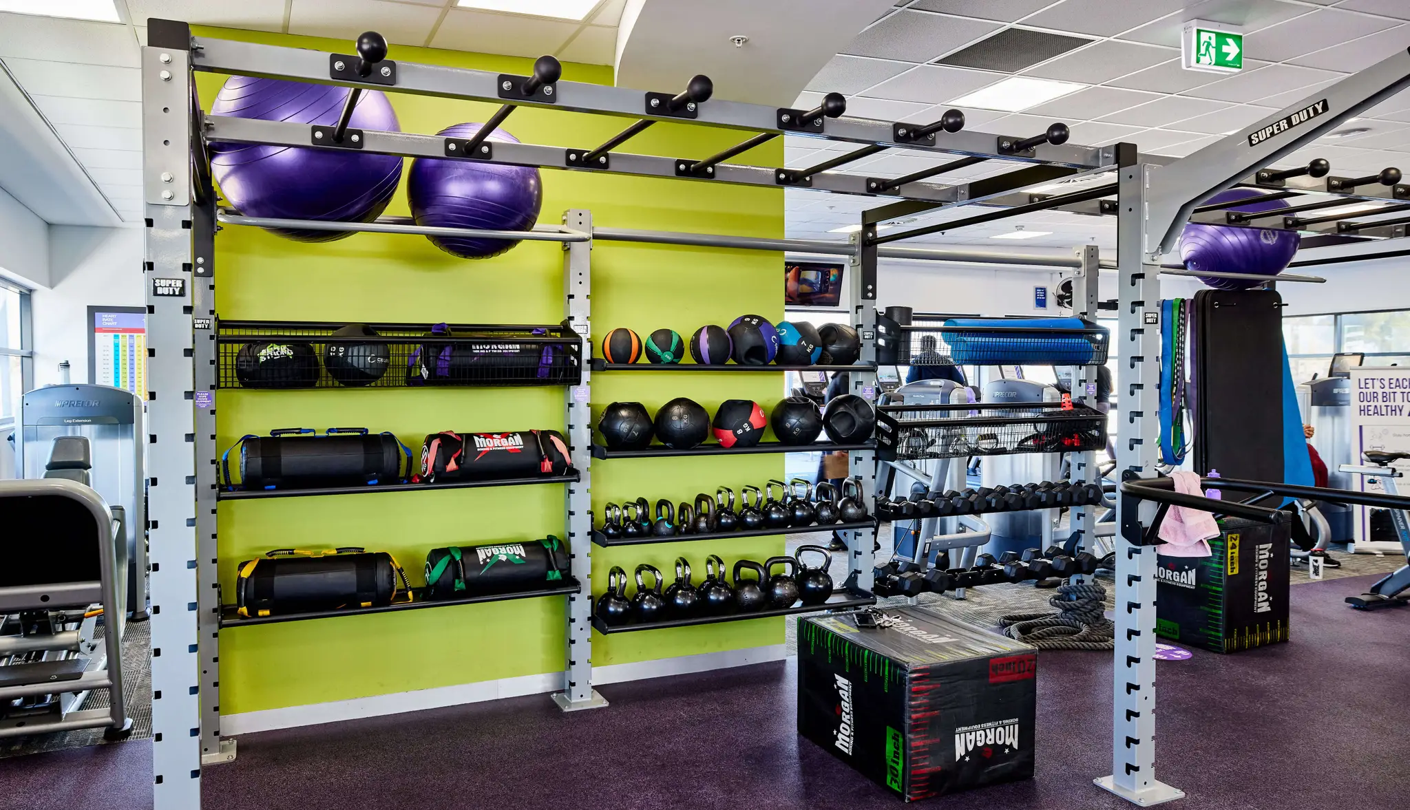 Advanced Exercise Physiology