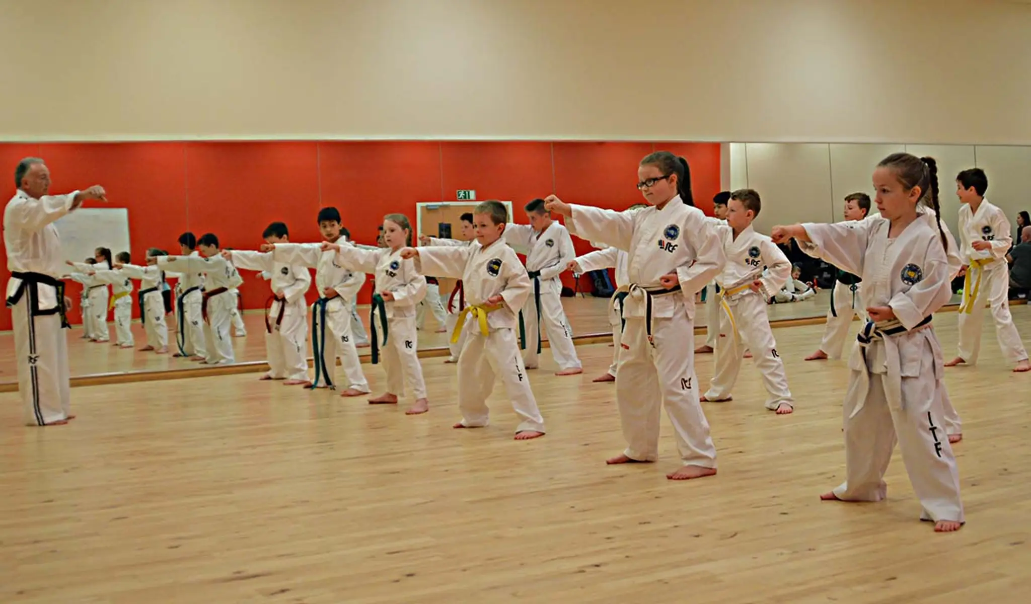taekwon do
