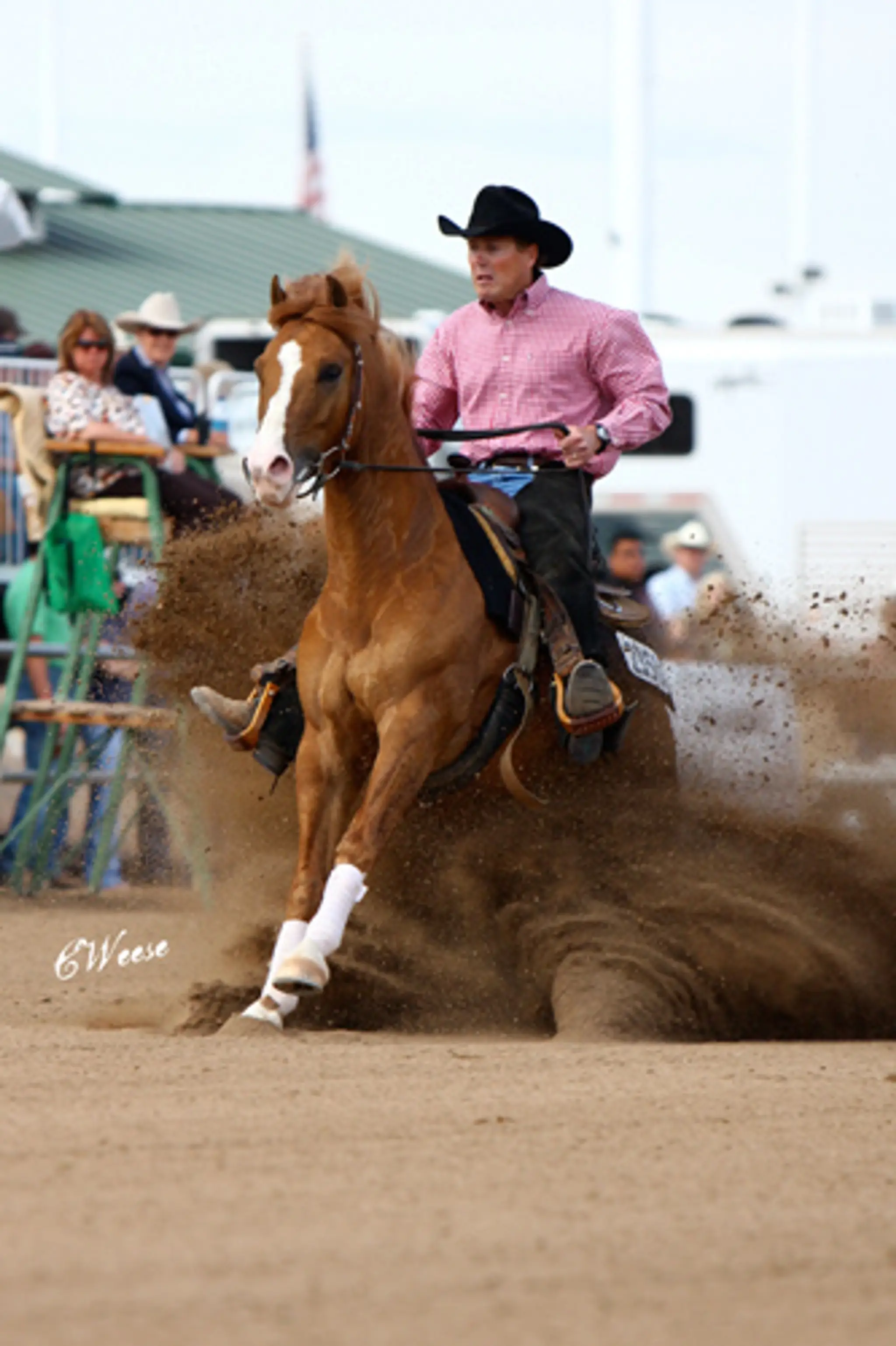 Y NOT FARMS & EQUESTRIAN CENTRE