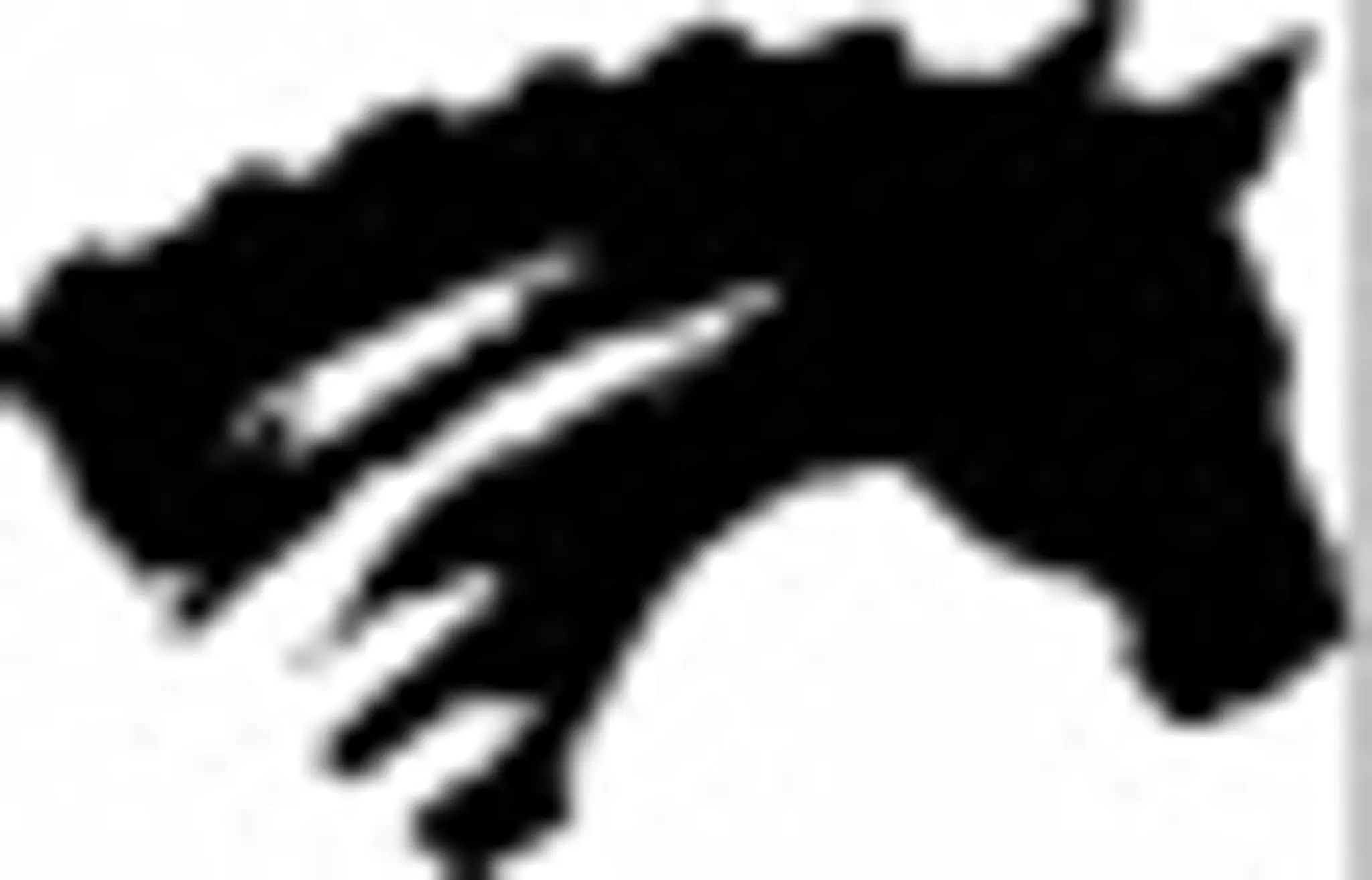 Equine Studies Canada