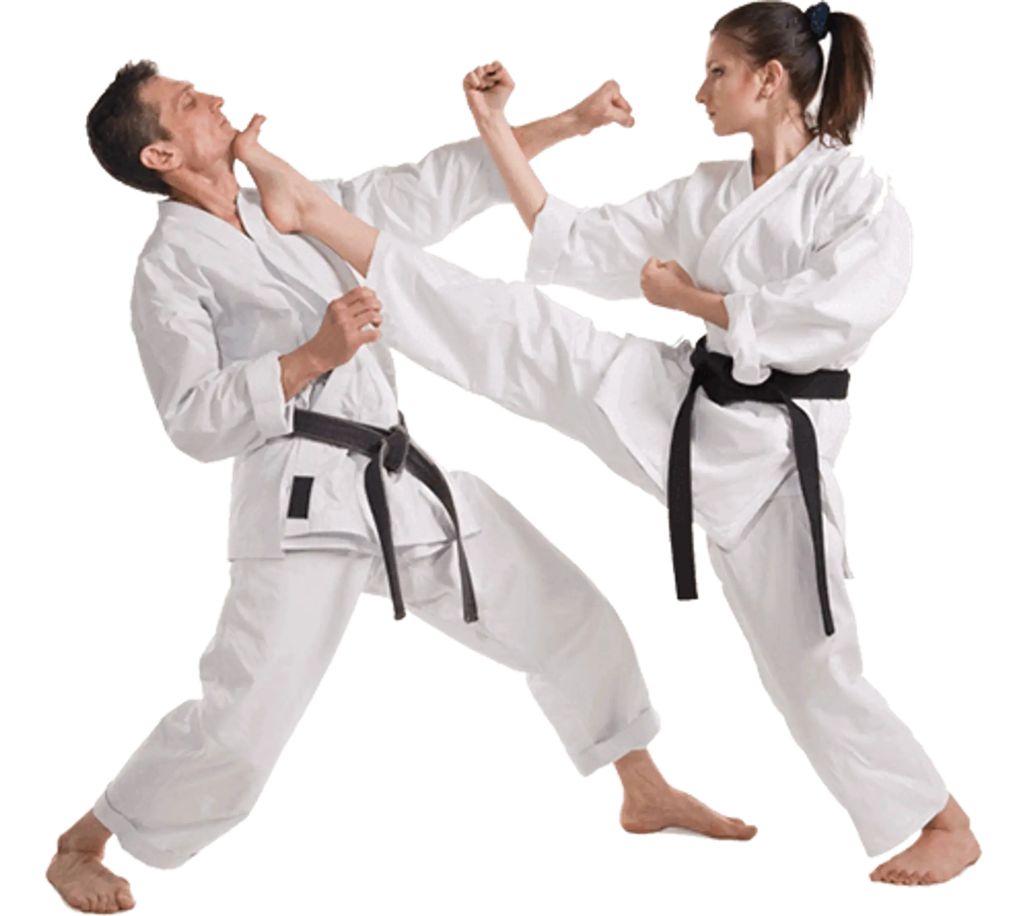 Gagangiri Martial Arts classes