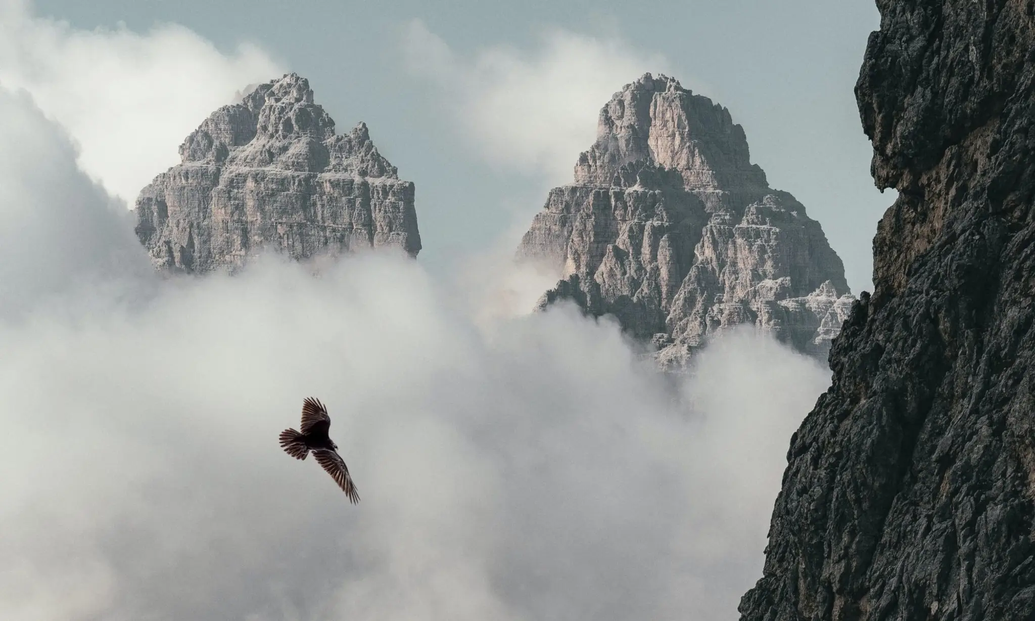 Sabrina Debris Hypnotherapist Humaniste & Yoga Prénatal