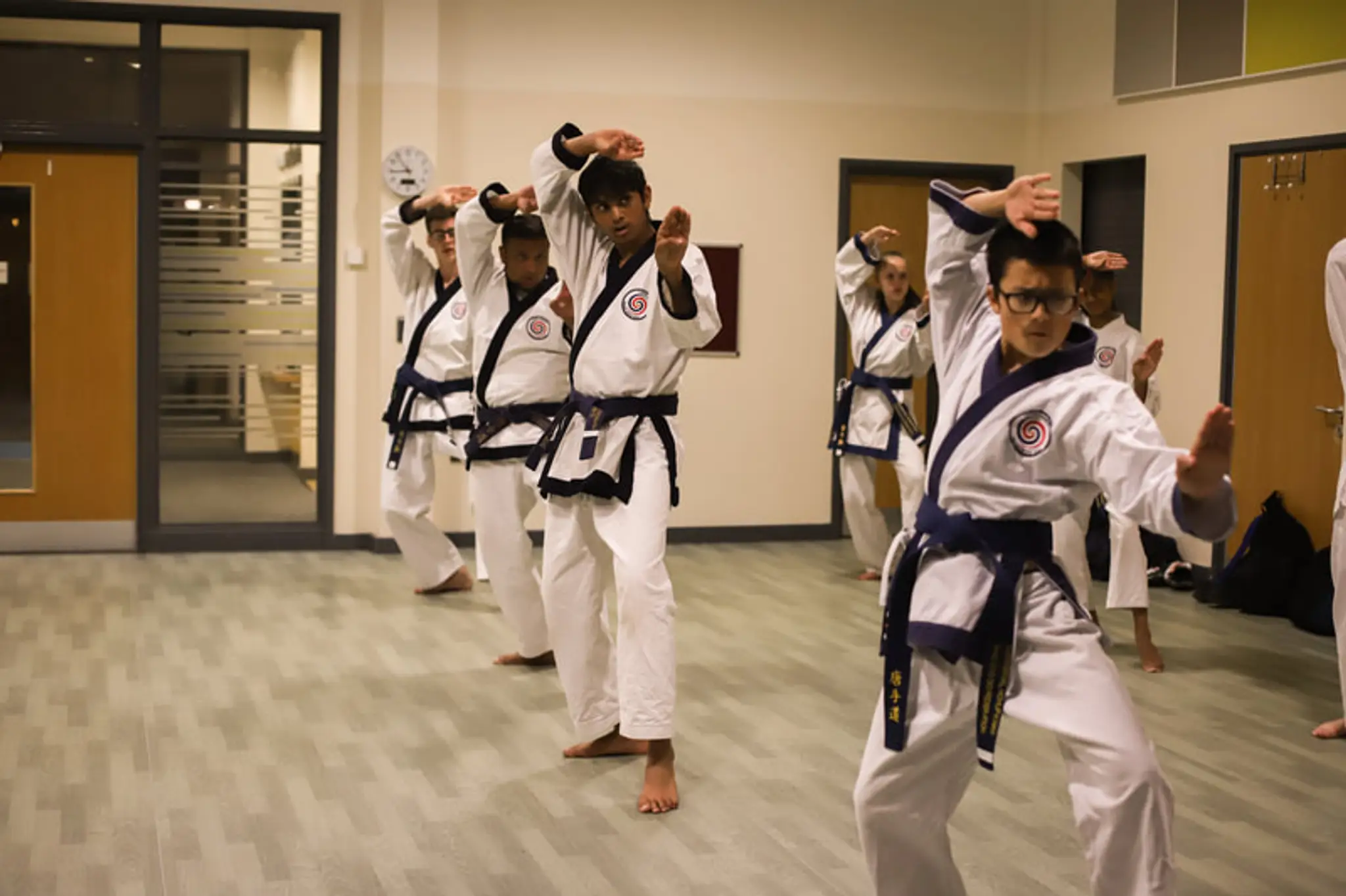 Lion Pride Tang Soo Do