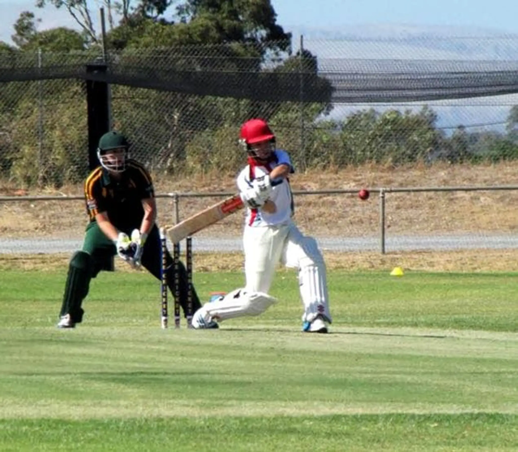 Southern District Stingrays