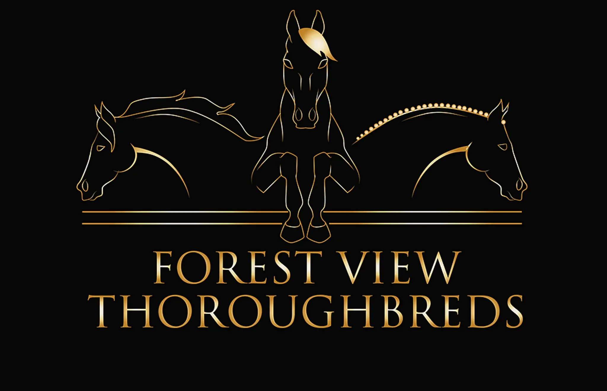 Forest View Thoroughbreds. Specialising in Off The Track Education
